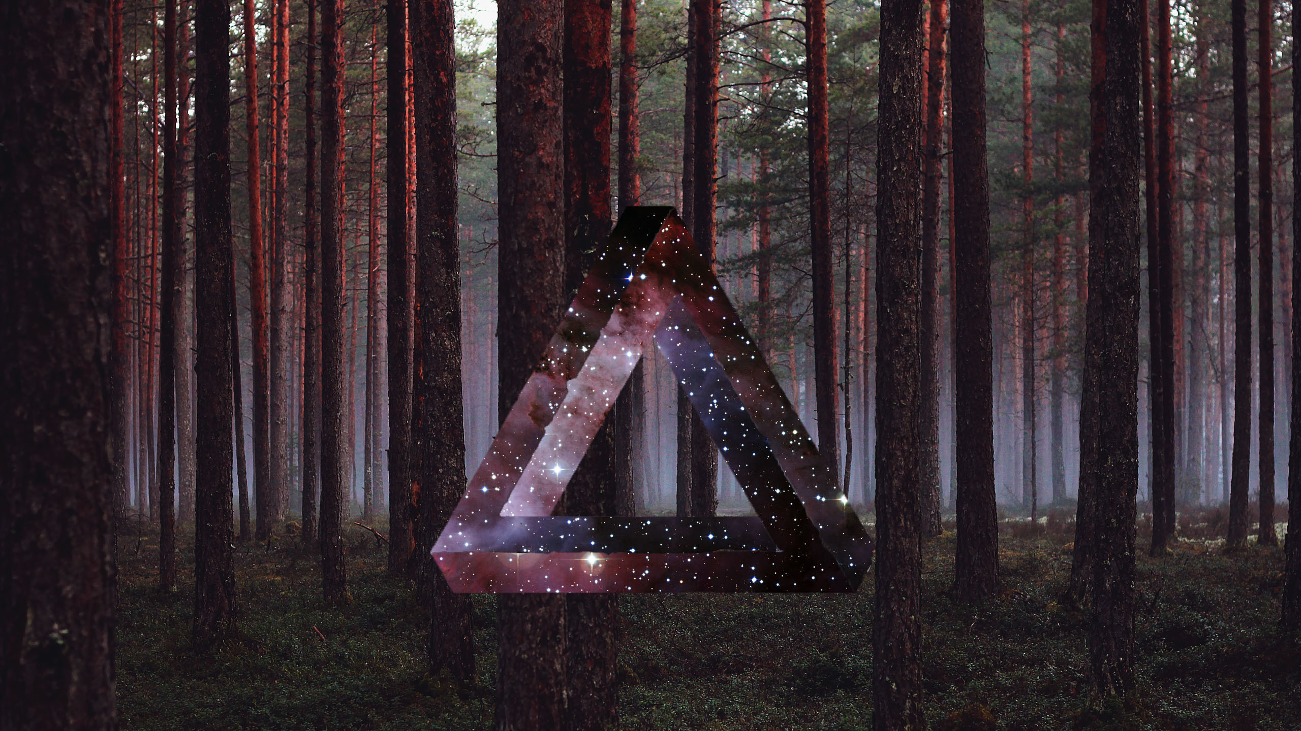 Ventana de Vidrio Con Marco de Madera Marrón. Wallpaper in 2560x1440 Resolution