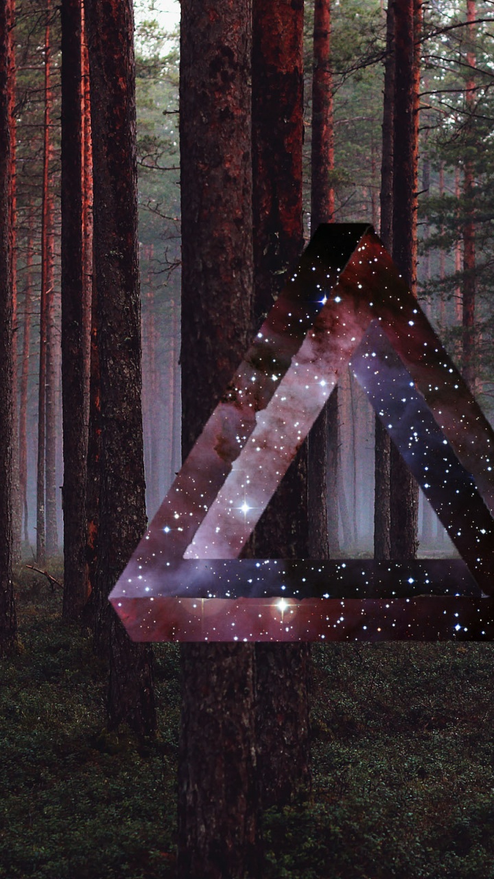 森林, 光, 林地, 的信息, 古老的森林 壁纸 720x1280 允许