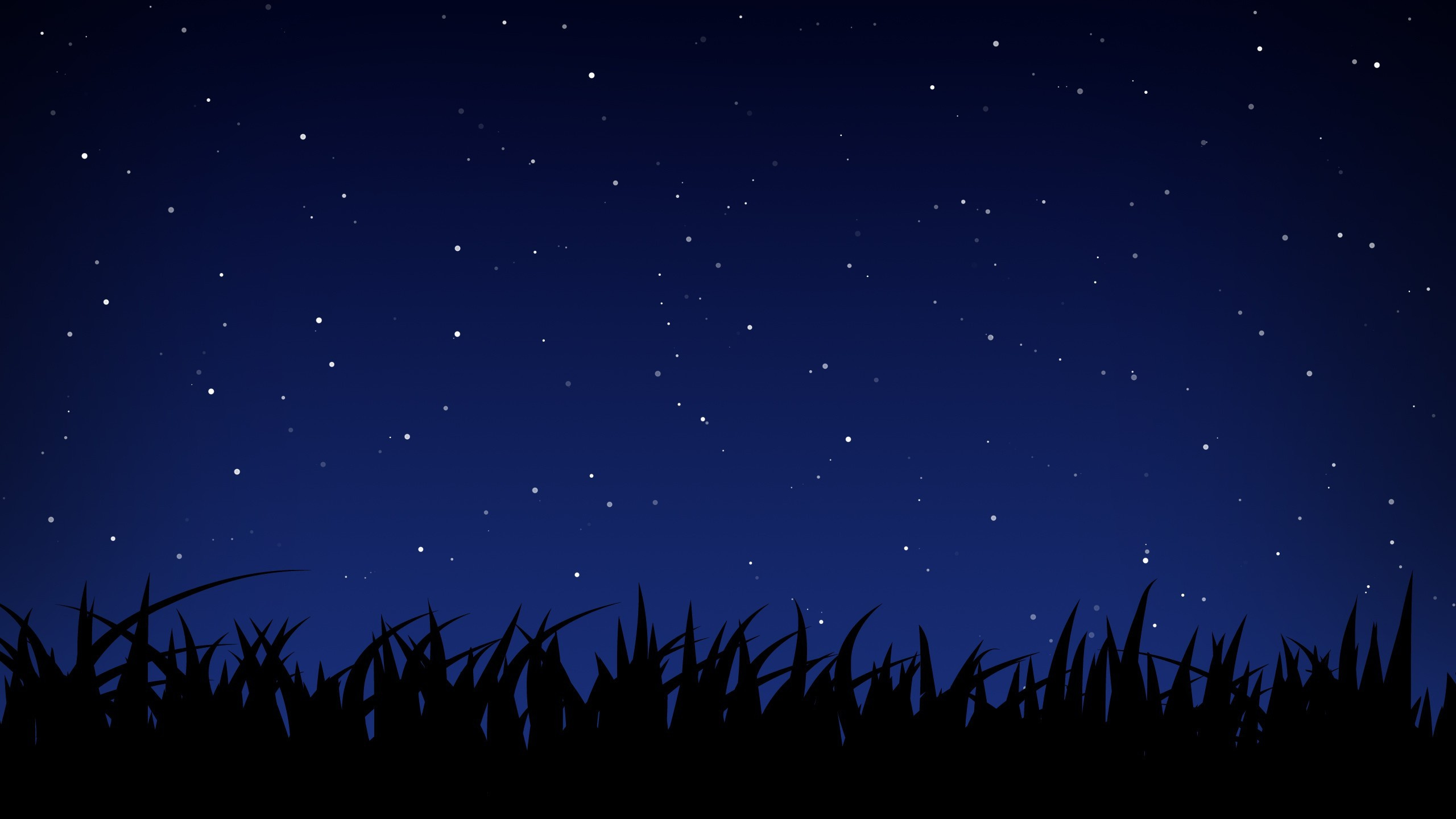 Silhouette of Trees Under Starry Night. Wallpaper in 2560x1440 Resolution