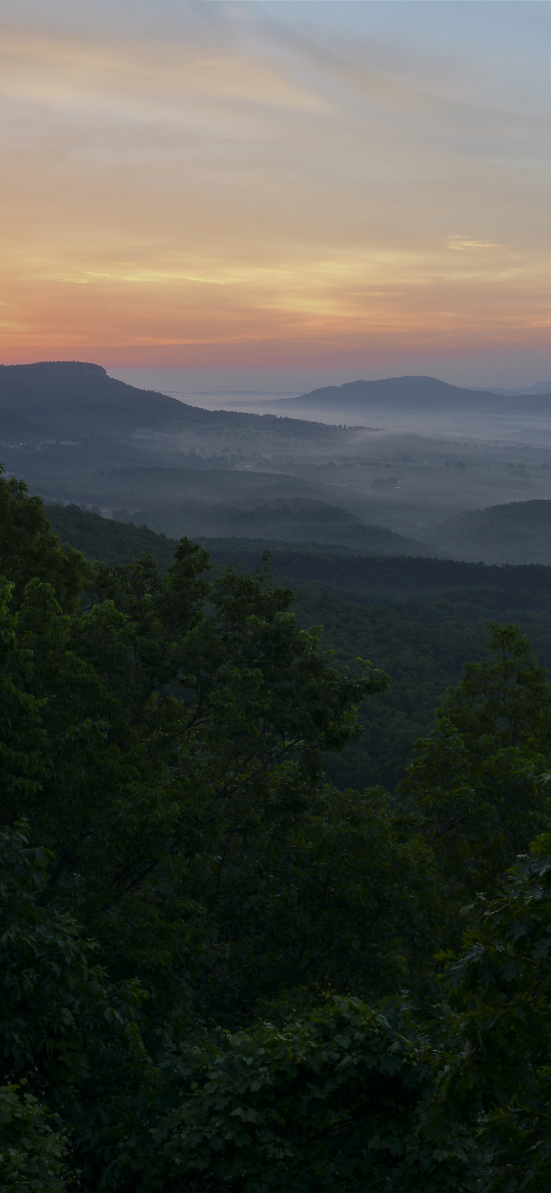 Mountain, Road Trip, Arkansas Views, Vegetation, Jasper. Wallpaper in 1125x2436 Resolution