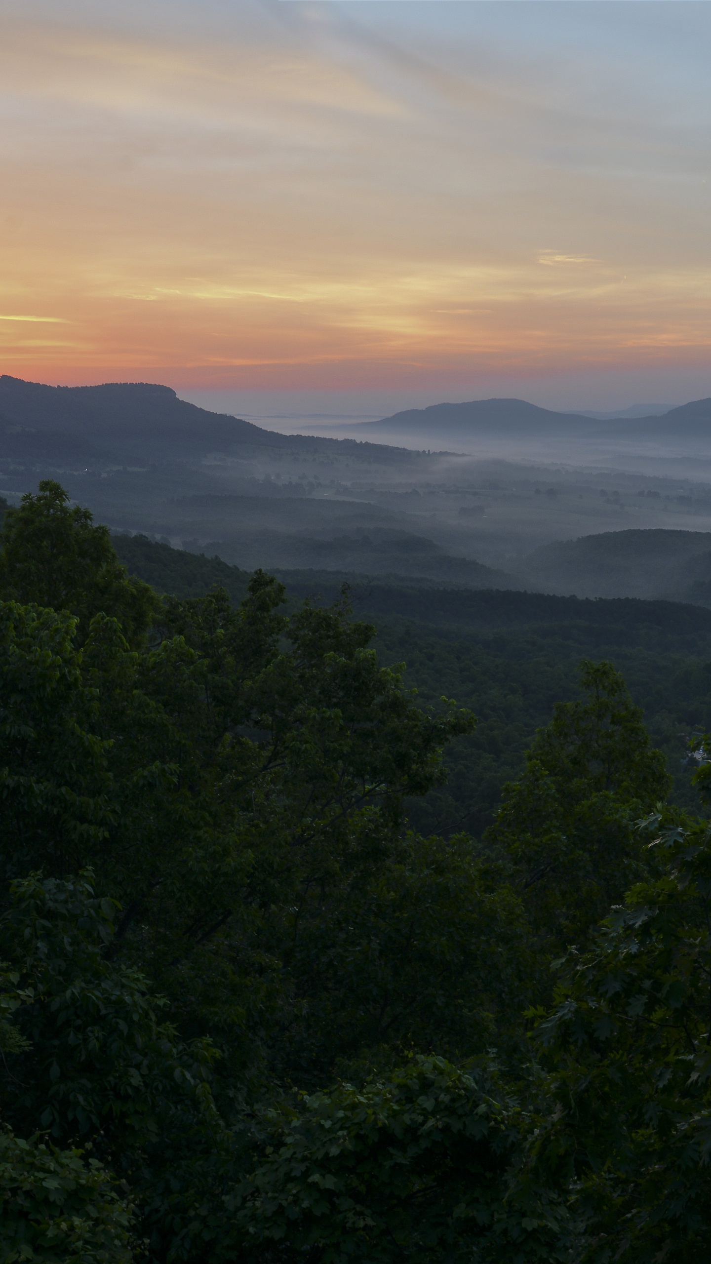 Mountain, Road Trip, Arkansas Views, Vegetation, Jasper. Wallpaper in 1440x2560 Resolution