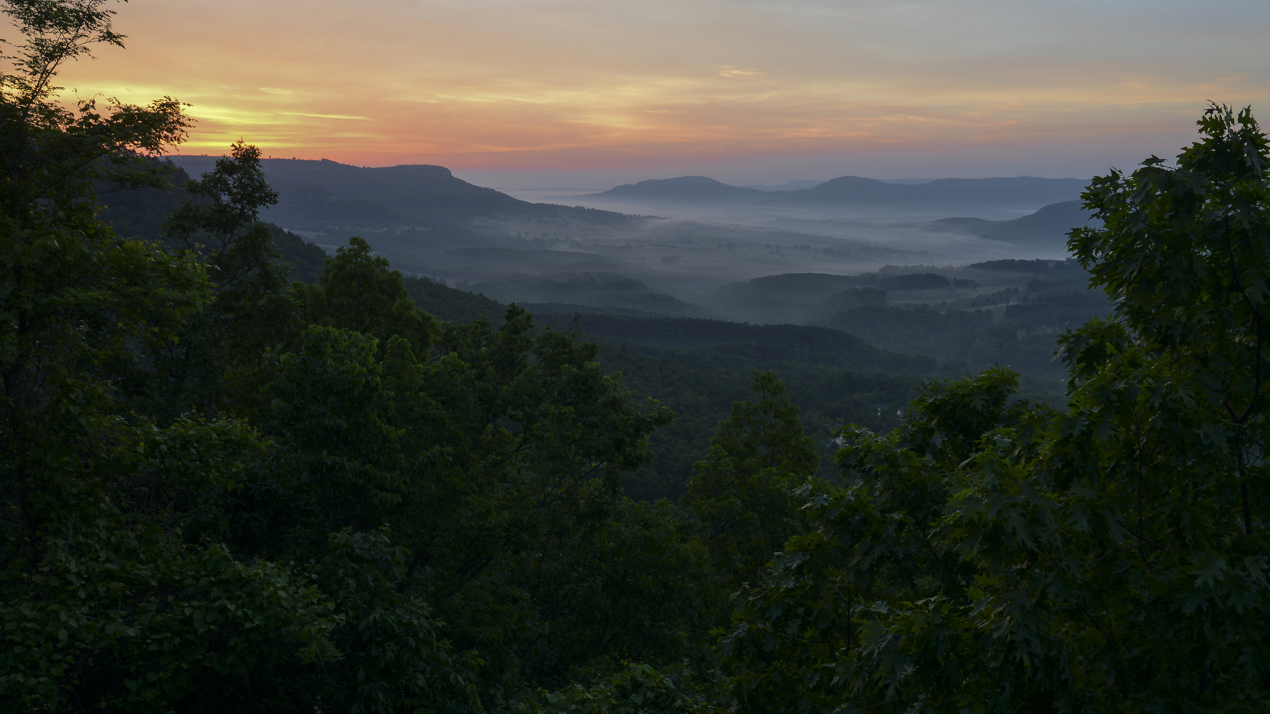 Mountain, Road Trip, Arkansas Views, Vegetation, Jasper. Wallpaper in 2560x1440 Resolution