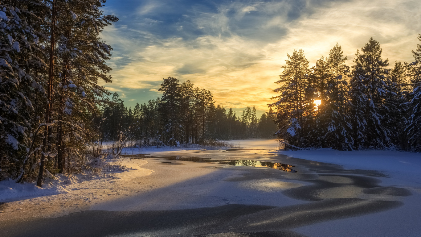 Arbres Verts Sur Sol Couvert de Neige Sous Ciel Bleu Pendant la Journée. Wallpaper in 1366x768 Resolution