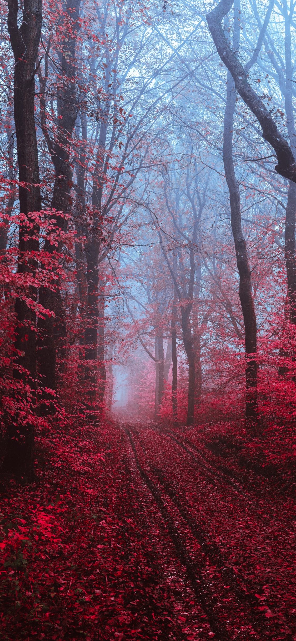 Smartphone, Malerei, Atmosphäre, Naturlandschaft, Baum. Wallpaper in 1125x2436 Resolution