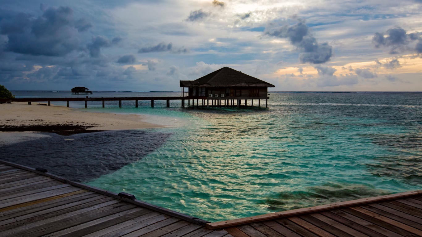 Braunes Holzdock Auf Blauem Meer Unter Blauem Himmel Tagsüber. Wallpaper in 1366x768 Resolution