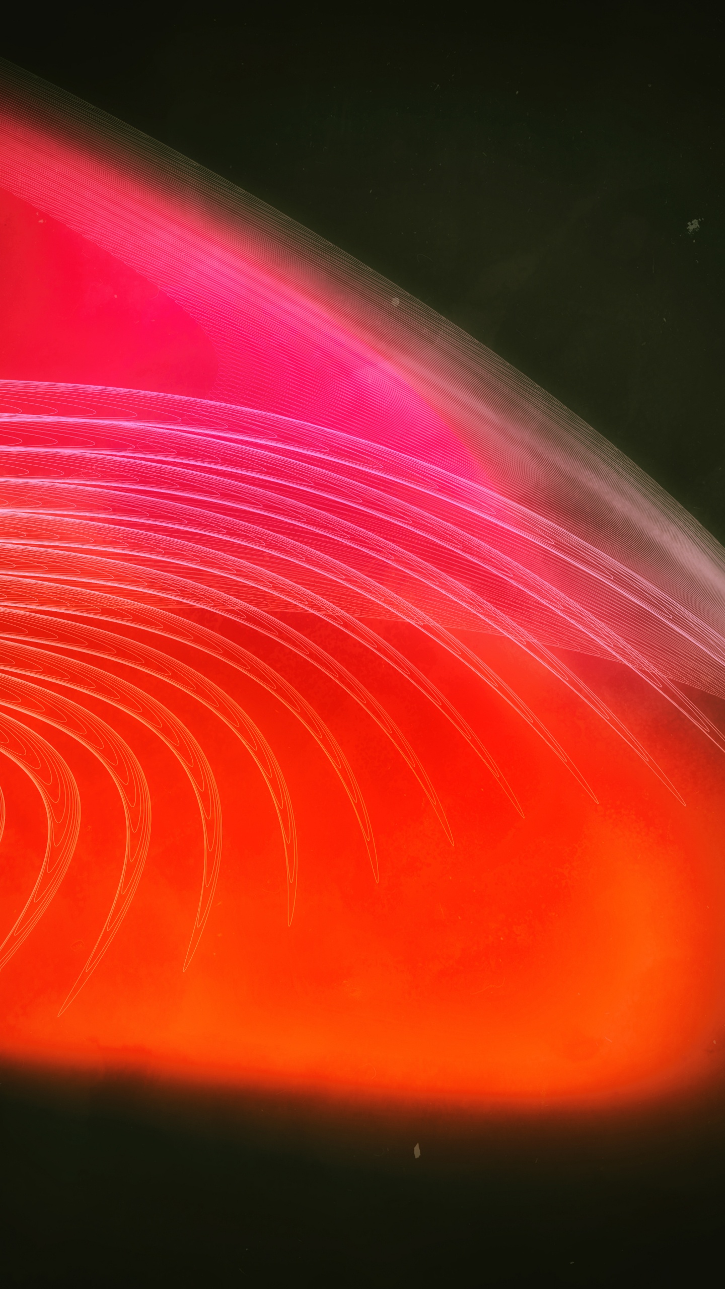 光, 红色的, 橙色, 粉红色, 空间 壁纸 1440x2560 允许