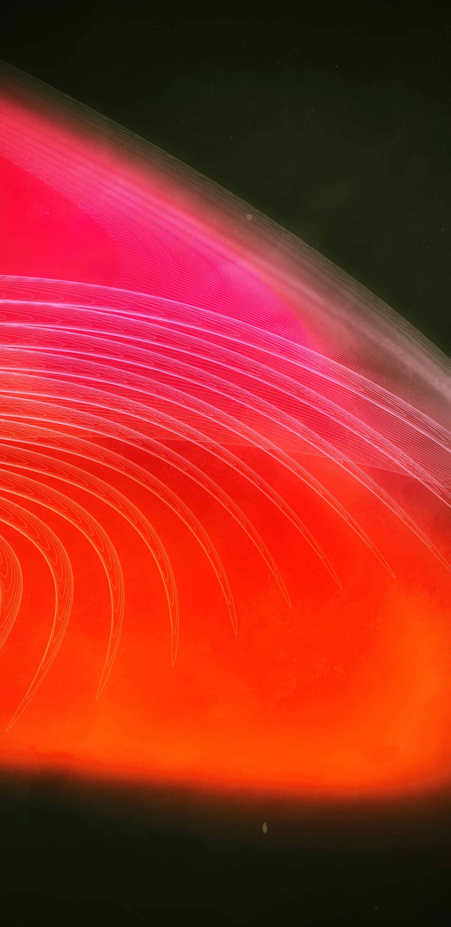 光, 红色的, 橙色, 粉红色, 空间 壁纸 1440x2960 允许