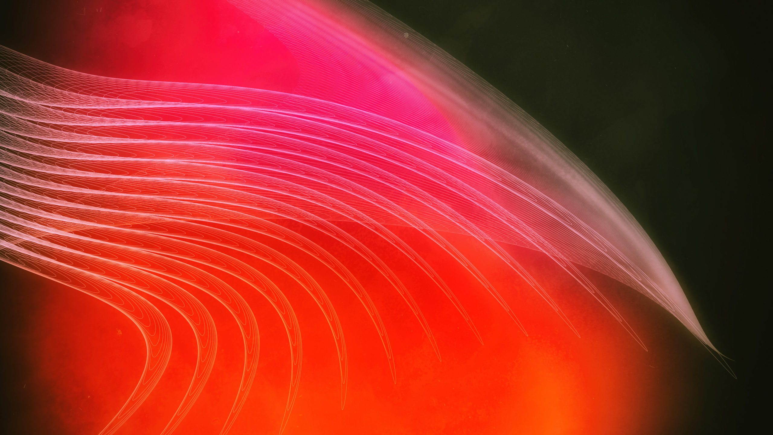 光, 红色的, 橙色, 粉红色, 空间 壁纸 2560x1440 允许