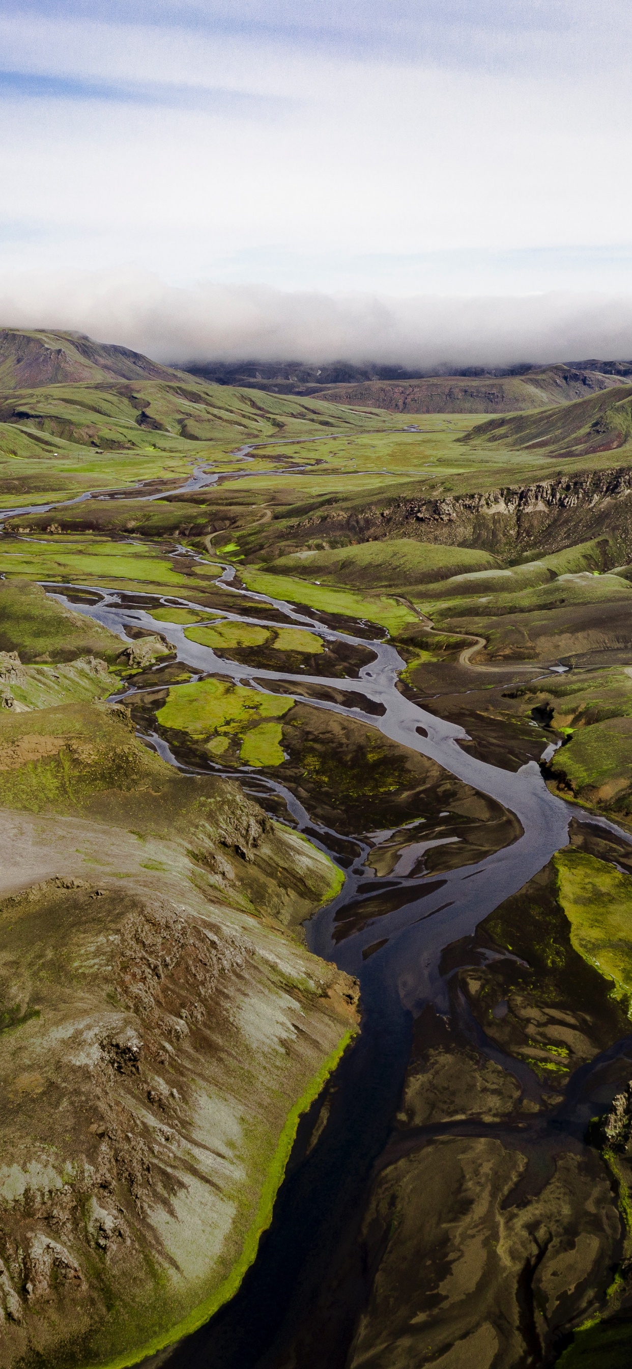 Hornstrandir Nature Reserve, McLean Falls, Cloud, Mountain, Plant. Wallpaper in 1242x2688 Resolution