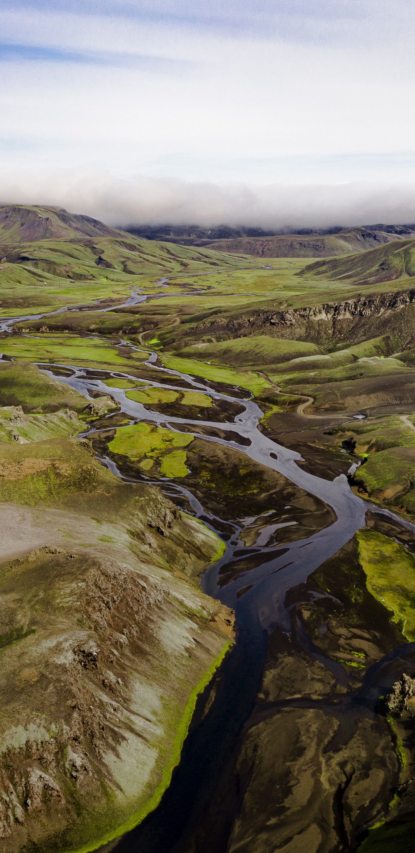 自然景观, 高地, 地形, 草, 银行 壁纸 1440x2960 允许