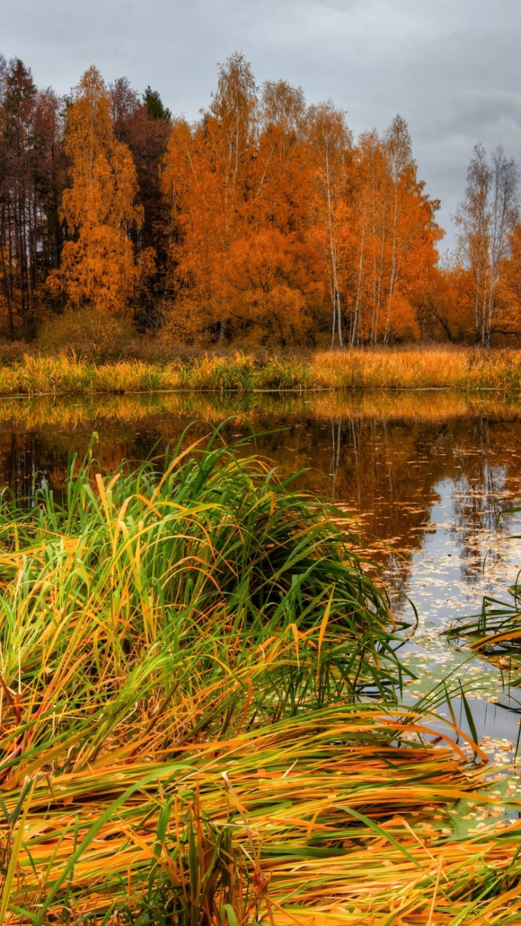 Brown Grass Near Body of Water During Daytime. Wallpaper in 750x1334 Resolution