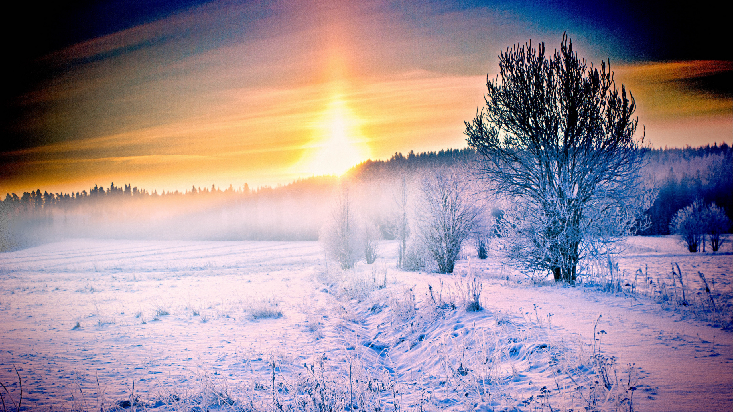 Schneebedecktes Feld Bei Sonnenuntergang. Wallpaper in 2560x1440 Resolution