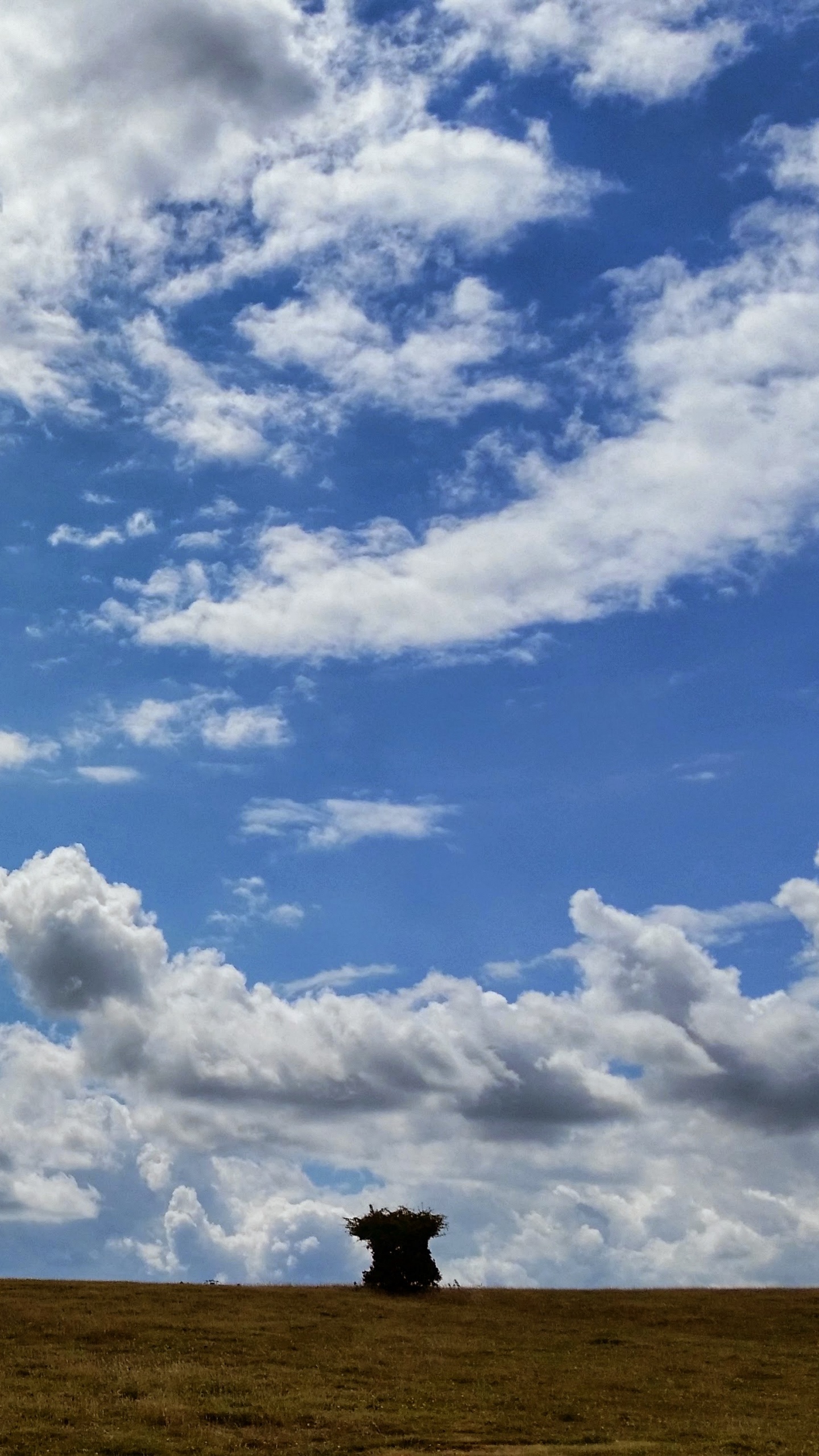 Nuages Blancs et Ciel Bleu Pendant la Journée. Wallpaper in 1440x2560 Resolution