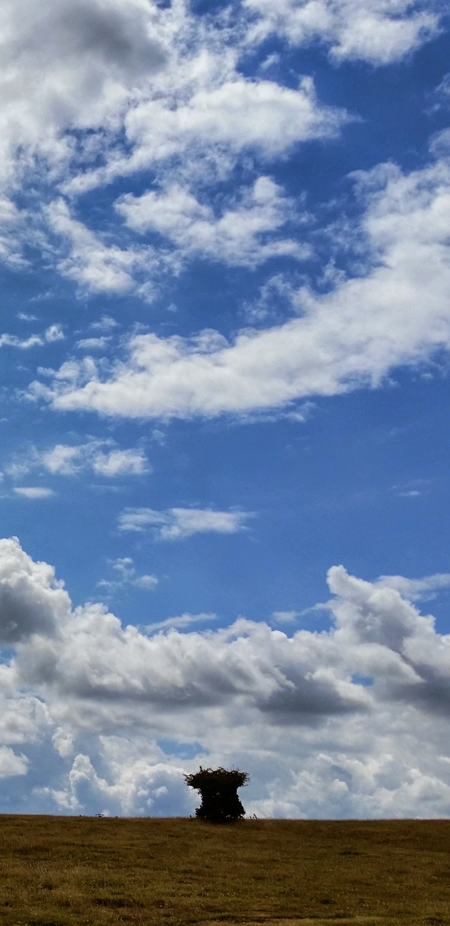 Nuages Blancs et Ciel Bleu Pendant la Journée. Wallpaper in 1440x2960 Resolution