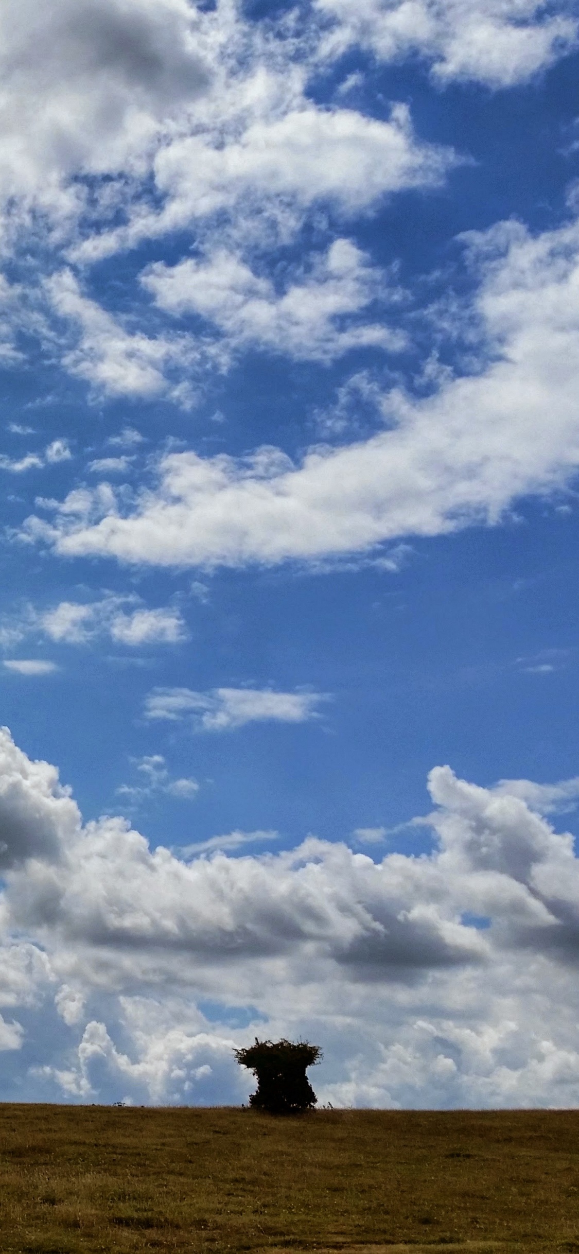 White Clouds and Blue Sky During Daytime. Wallpaper in 1125x2436 Resolution