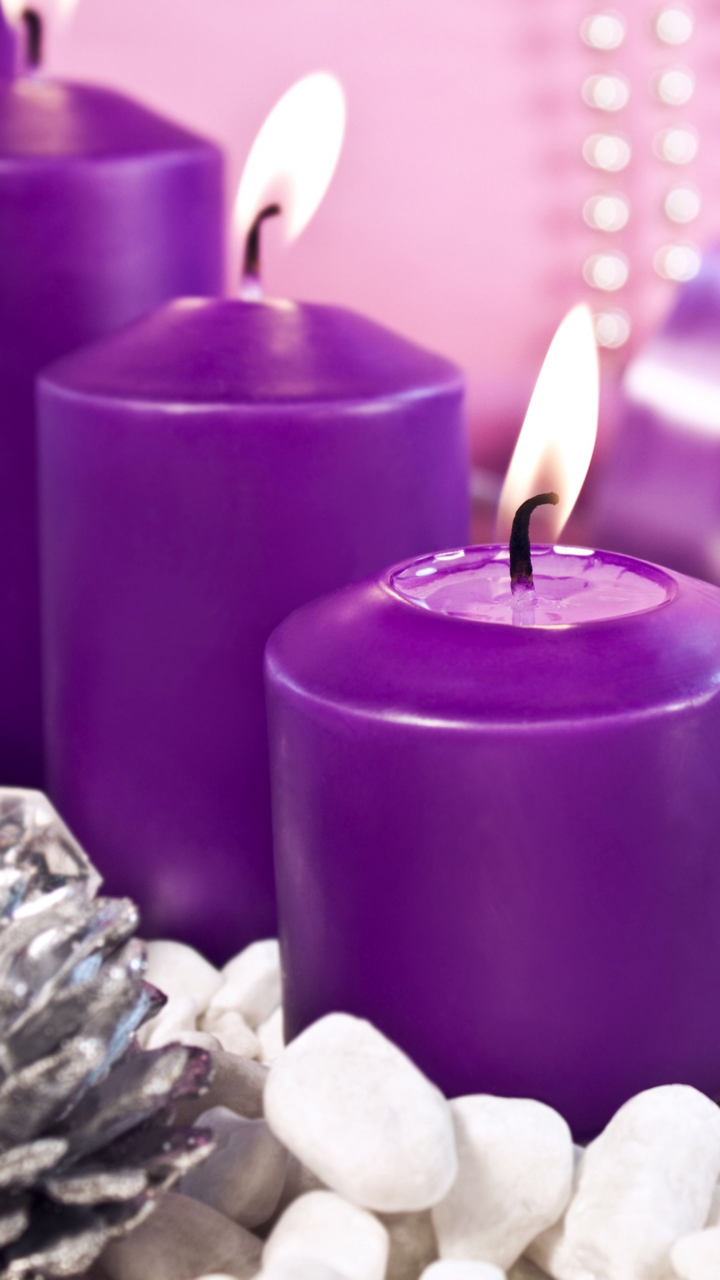 Vela de Adviento, El Día De Navidad, Decoración de la Navidad, Morado, Violeta. Wallpaper in 1440x2560 Resolution