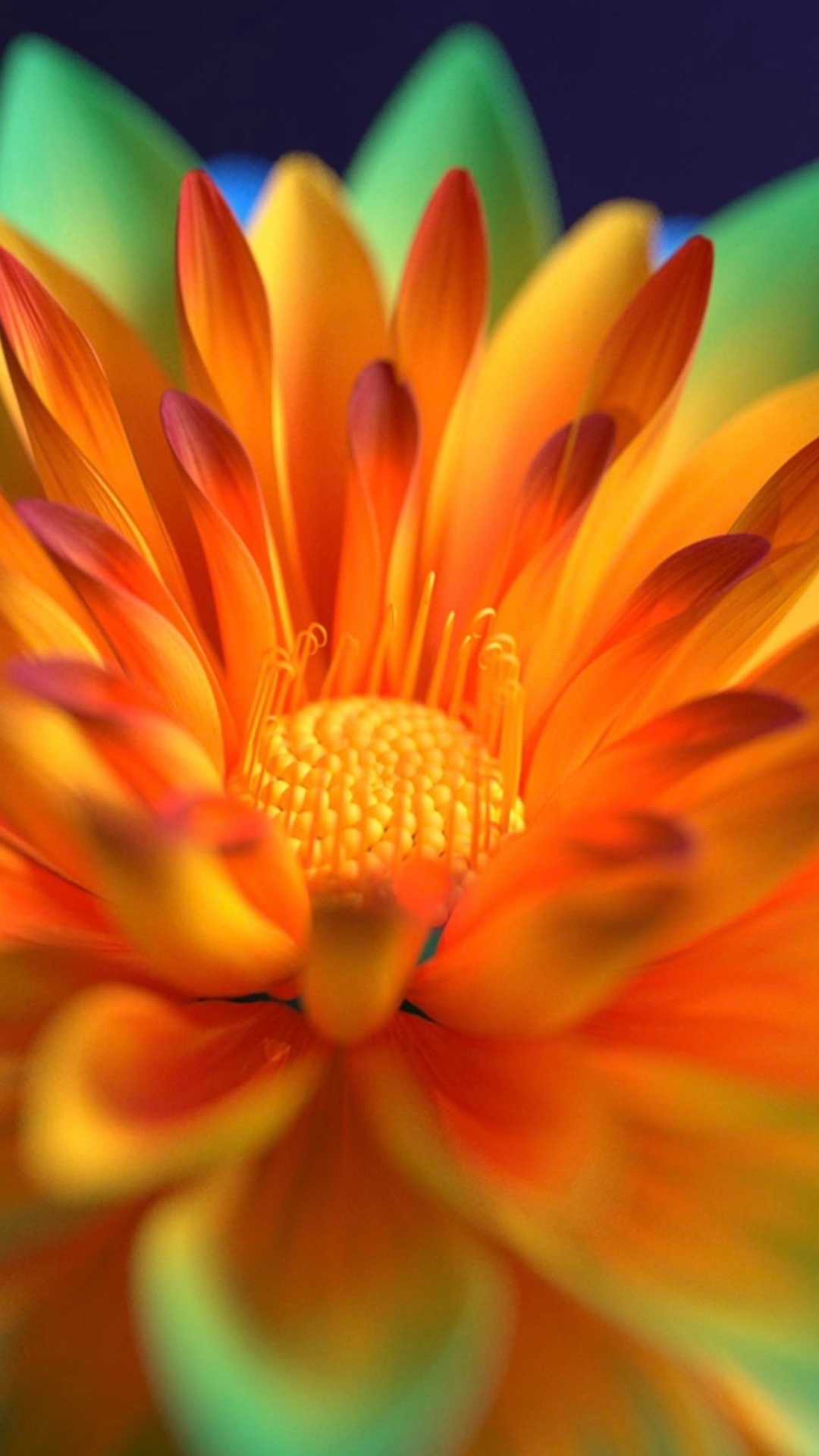 Flower, Alive, Vivo, Orange, IPS Panel. Wallpaper in 1080x1920 Resolution