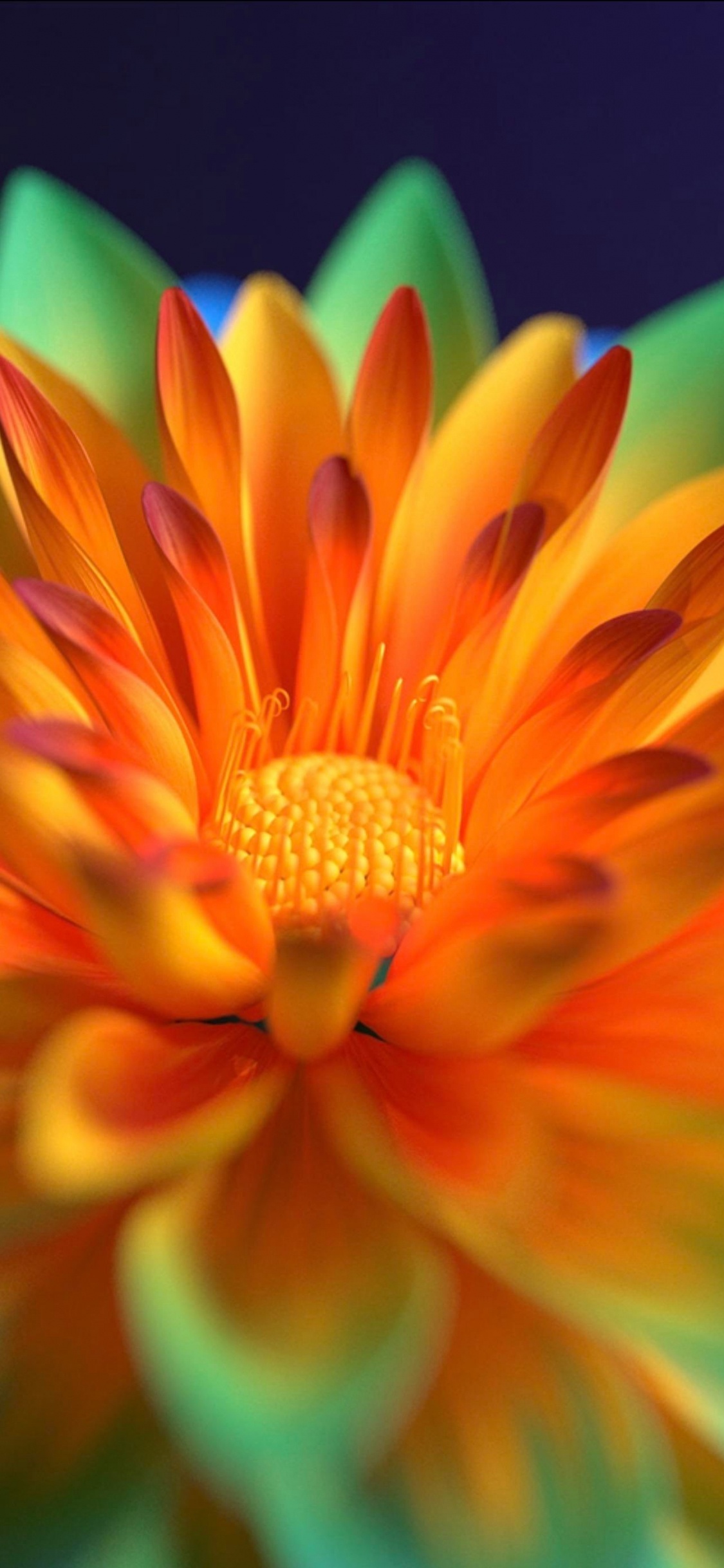 Flower, Alive, Vivo, Orange, IPS Panel. Wallpaper in 1125x2436 Resolution