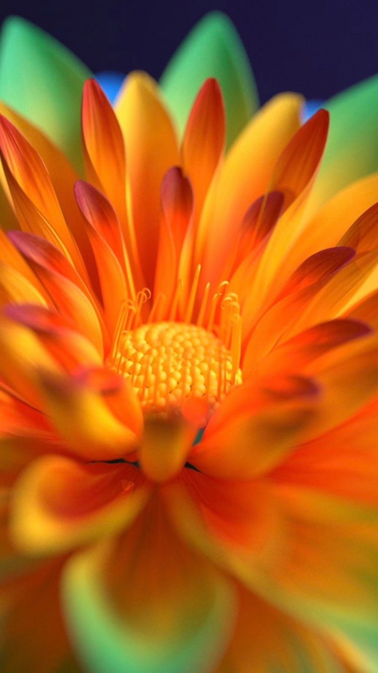 Flower, Alive, Vivo, Orange, IPS Panel. Wallpaper in 750x1334 Resolution