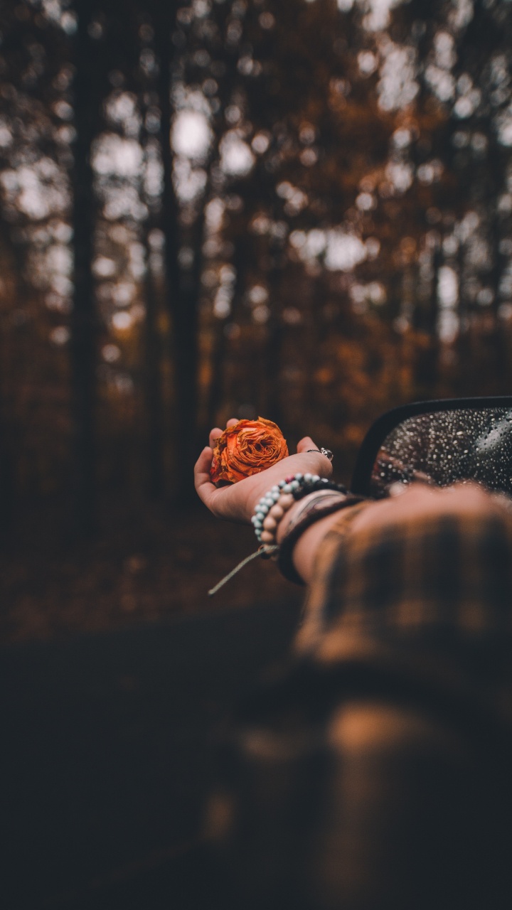 Person in Brown and Black Jacket Holding Black Car Side Mirror During Daytime. Wallpaper in 720x1280 Resolution