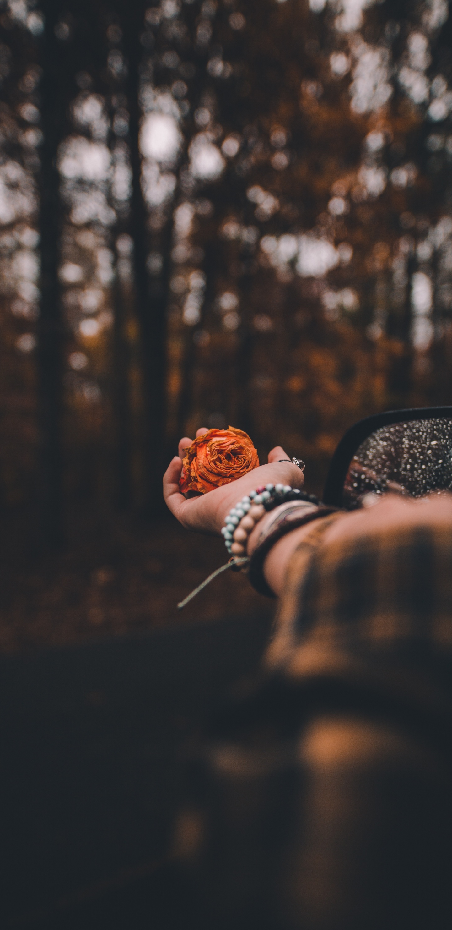 头饰, 天空, 工厂, 手臂, 时尚的附件 壁纸 1440x2960 允许