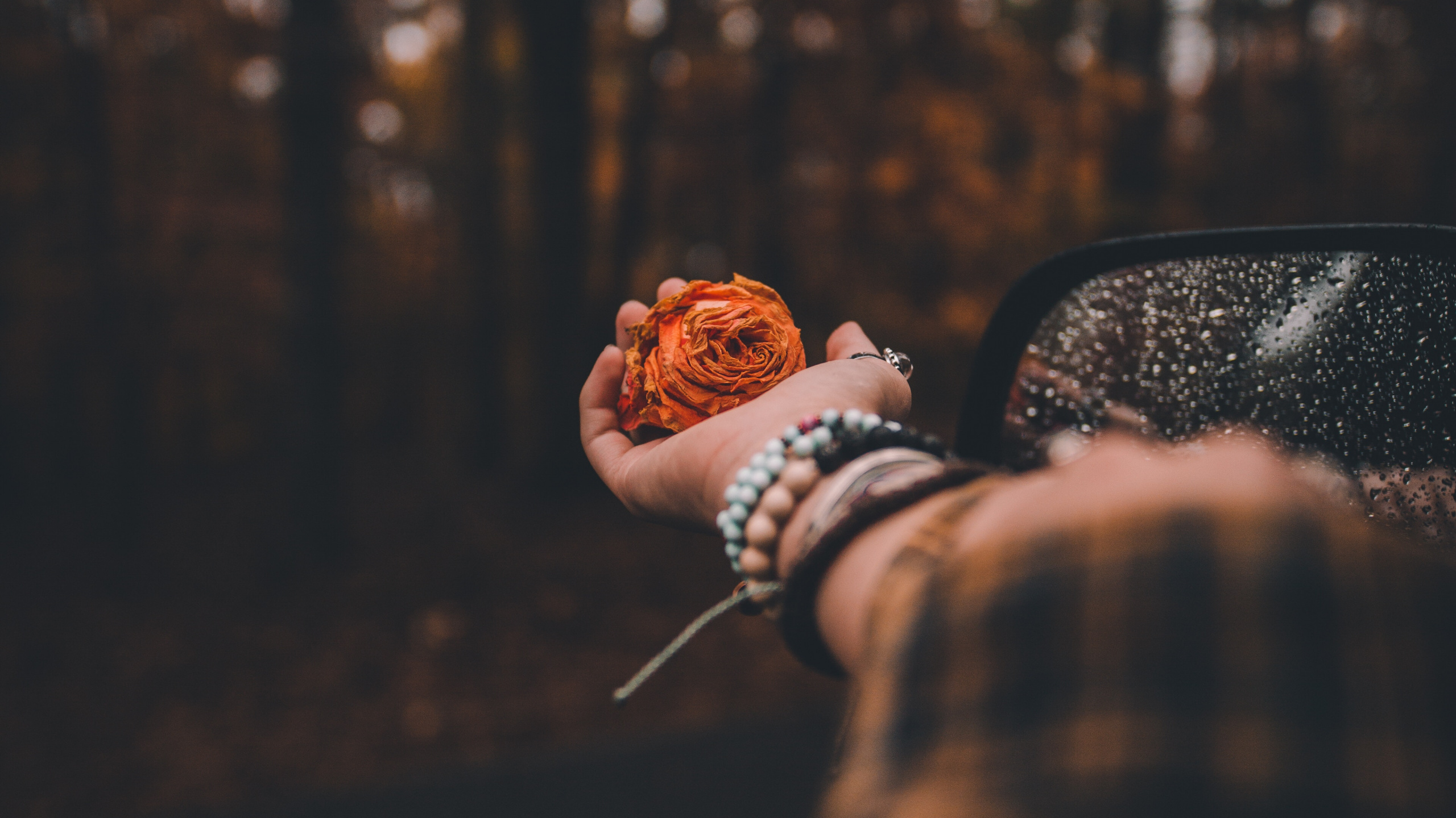 头饰, 天空, 工厂, 手臂, 时尚的附件 壁纸 2560x1440 允许