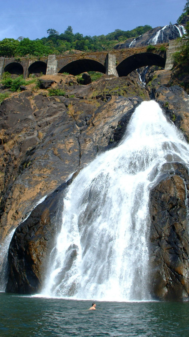 Wasserfälle in Der Nähe Von Grünen Bäumen Tagsüber. Wallpaper in 750x1334 Resolution