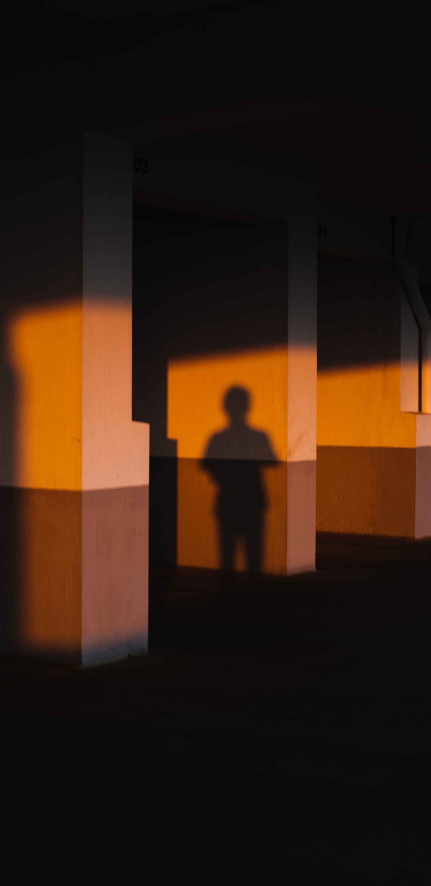 Silhouette de Personne Debout Devant un Mur de Béton Brun. Wallpaper in 1440x2960 Resolution