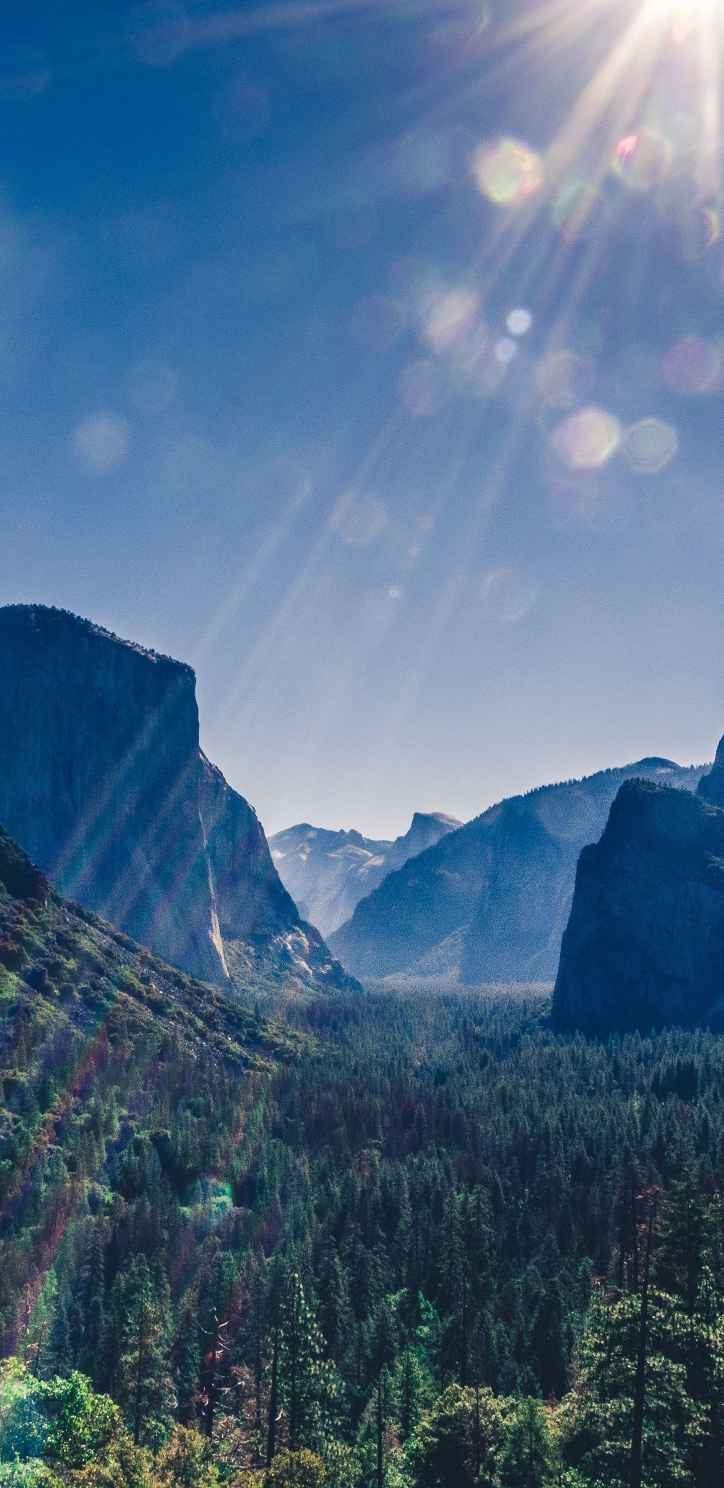 el Parque Nacional de Yosemite, el Valle de Yosemite, La Mitad De La Cúpula, Vista de Túnel, el Parque Nacional de Yellowstone. Wallpaper in 1440x2960 Resolution