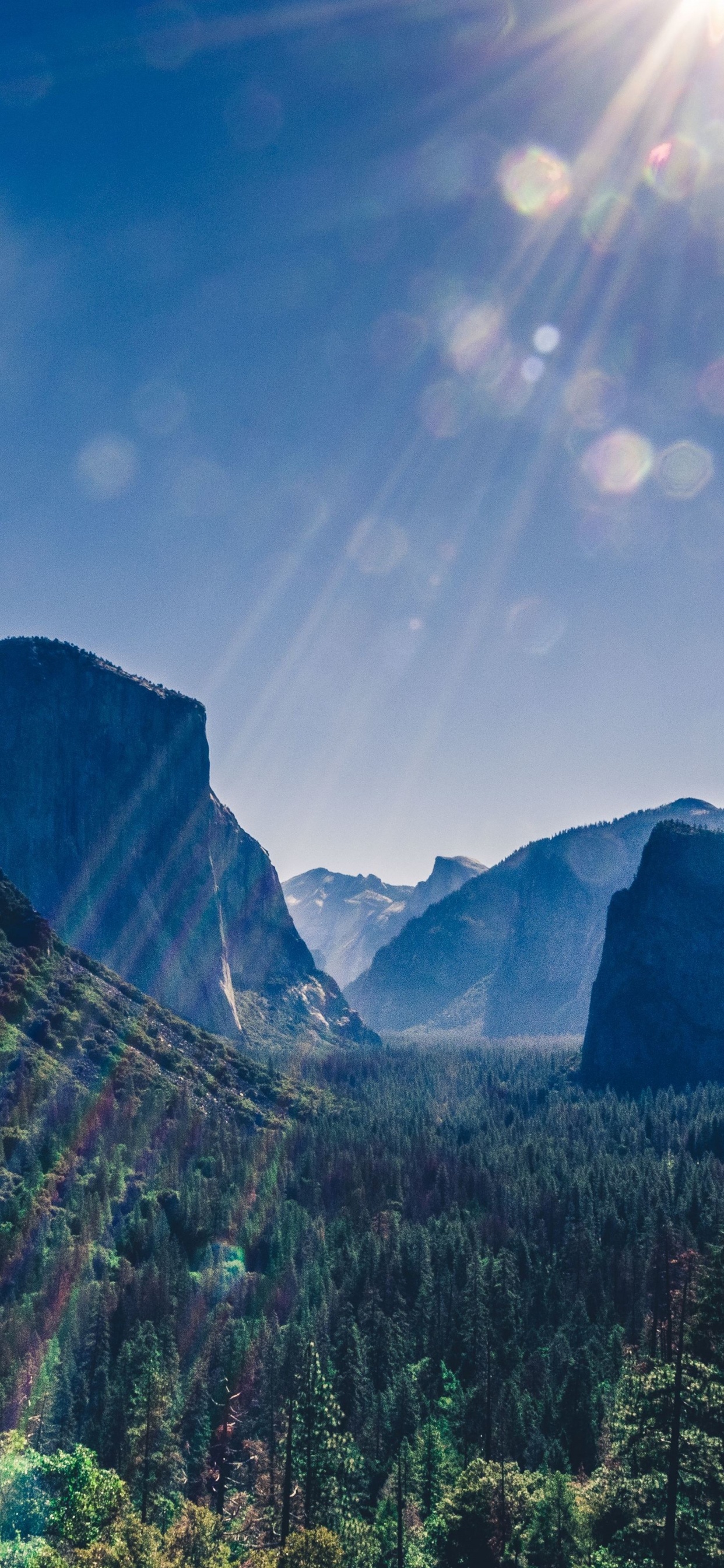 Yosemite National Park, Yosemite Valley, Half Dome, Tunnel View, Yellowstone National Park. Wallpaper in 1242x2688 Resolution