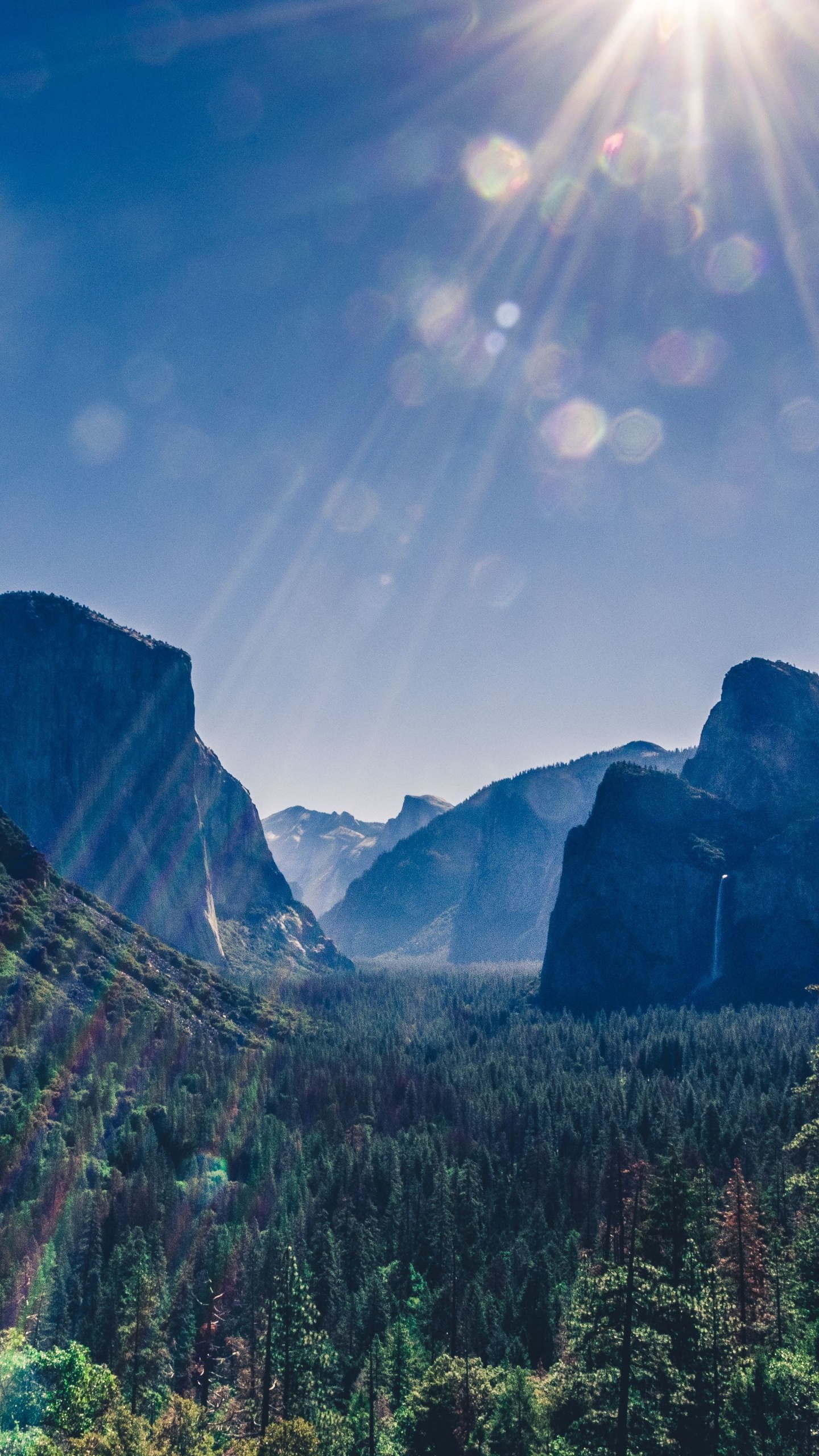 Yosemite National Park, Yosemite Valley, Half Dome, Tunnel View, Yellowstone National Park. Wallpaper in 1440x2560 Resolution