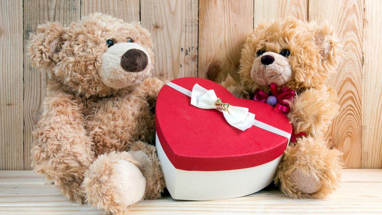 Nounours, Cœur, Jouet en Peluche, Peluche, Canidés. Wallpaper in 1280x720 Resolution