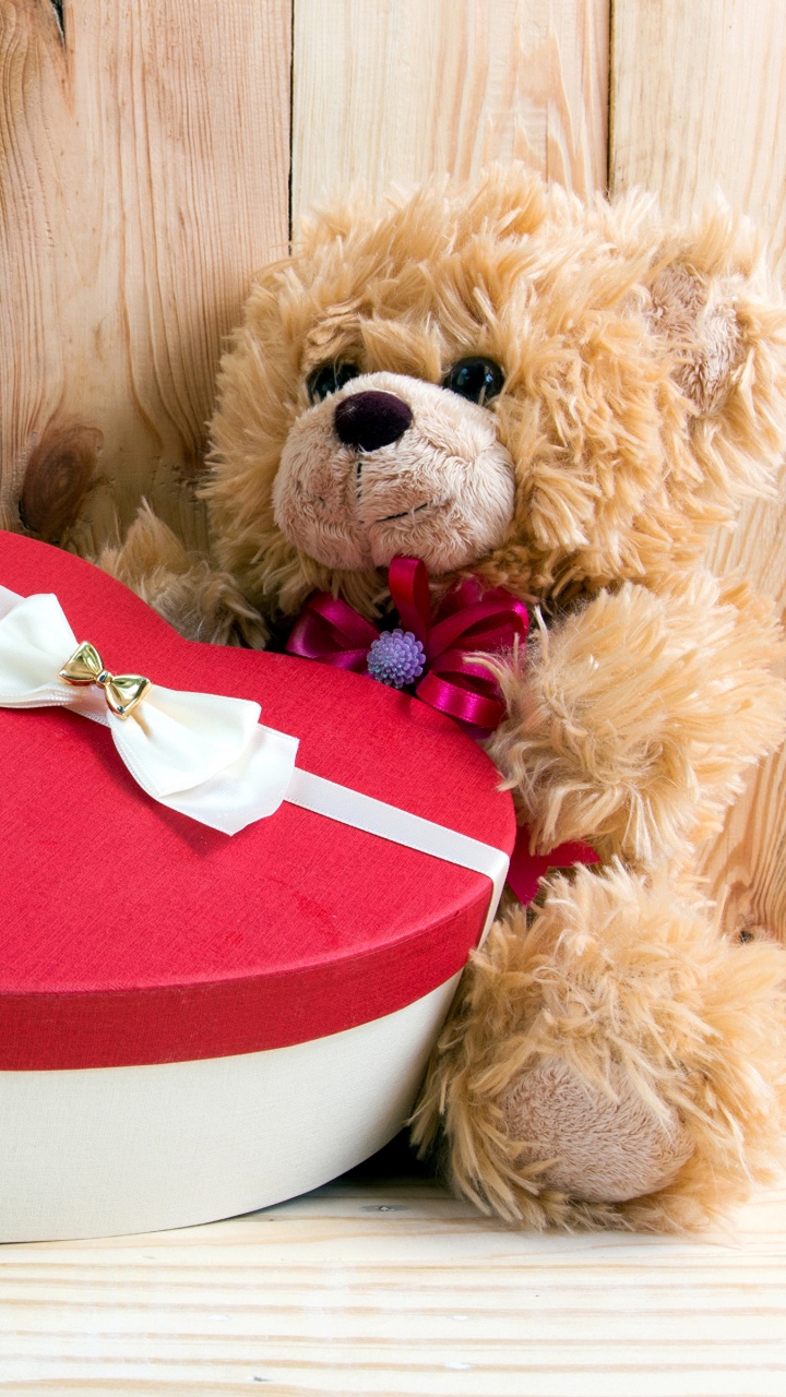 Nounours, Cœur, Jouet en Peluche, Peluche, Canidés. Wallpaper in 720x1280 Resolution