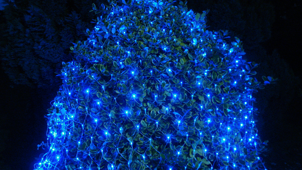 Led-Lampe, Weihnachtsbeleuchtung, Nachtlicht, Licht, Blau. Wallpaper in 1280x720 Resolution