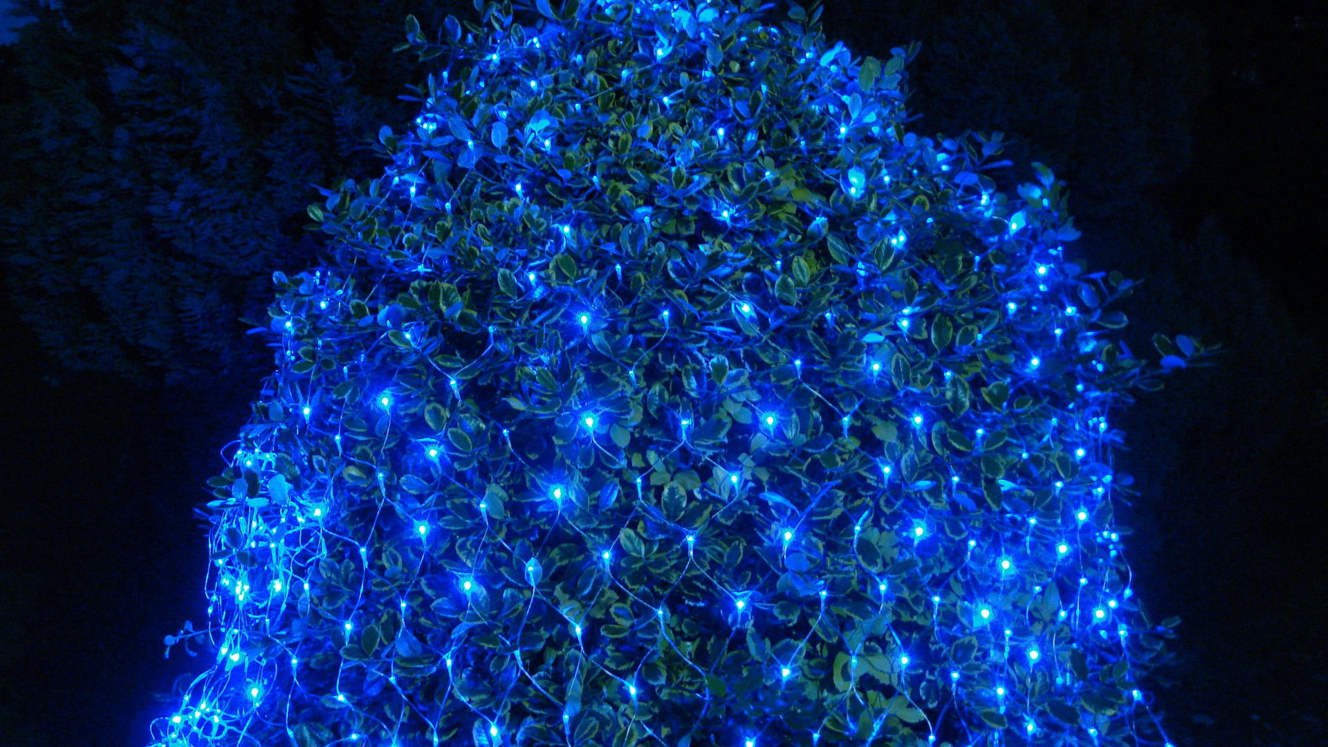 Led-Lampe, Weihnachtsbeleuchtung, Nachtlicht, Licht, Blau. Wallpaper in 1920x1080 Resolution