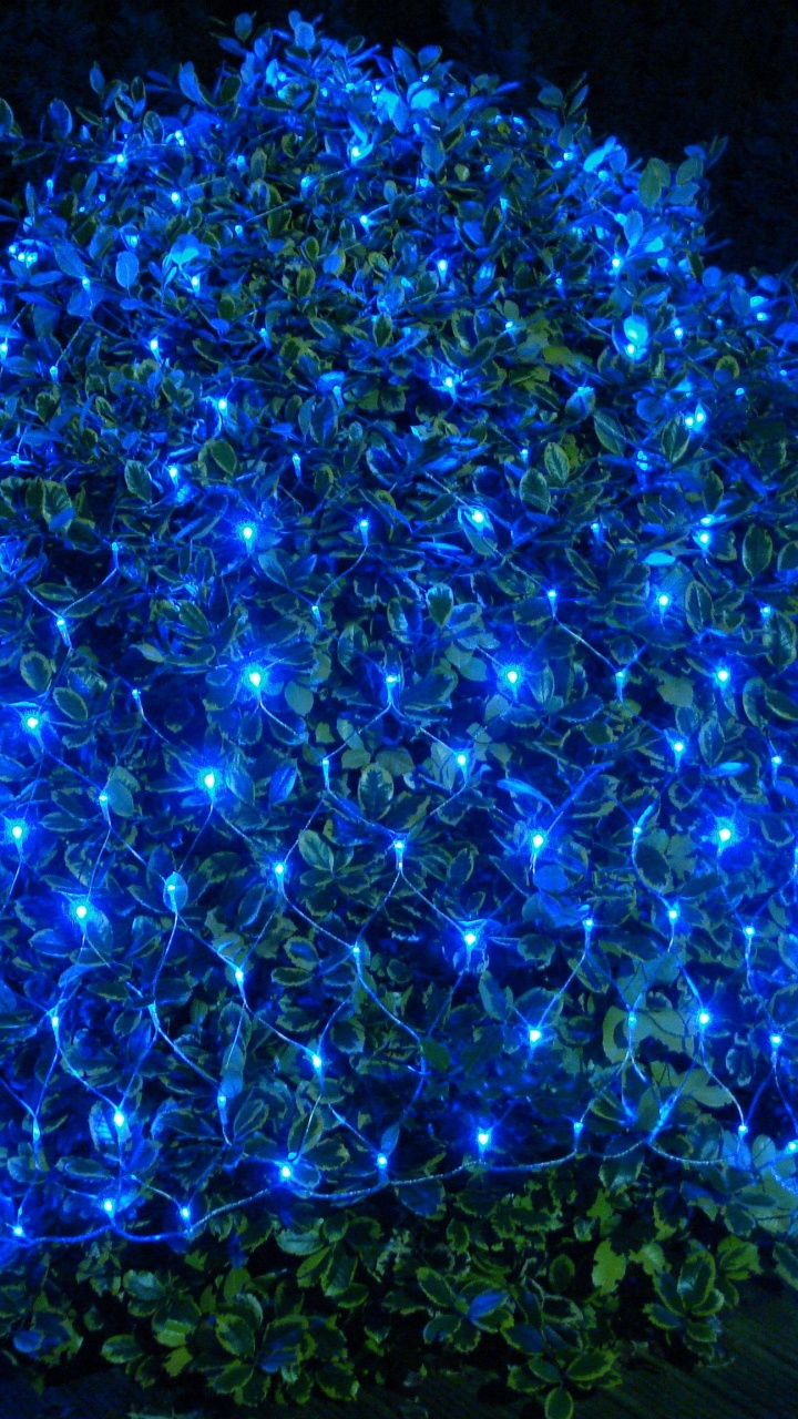 Led-Lampe, Weihnachtsbeleuchtung, Nachtlicht, Licht, Blau. Wallpaper in 720x1280 Resolution