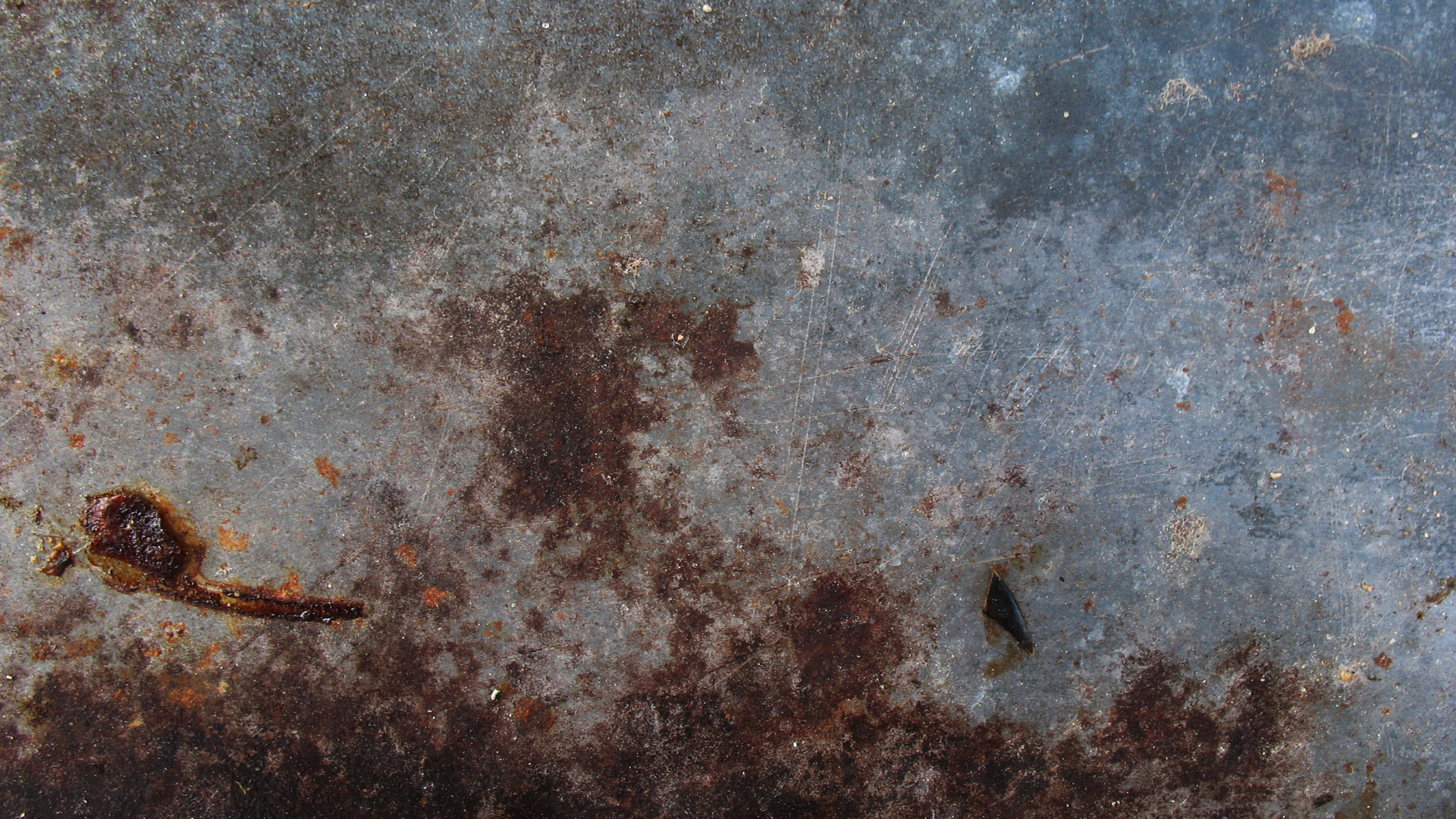 Brown Insect on Black Textile. Wallpaper in 1920x1080 Resolution