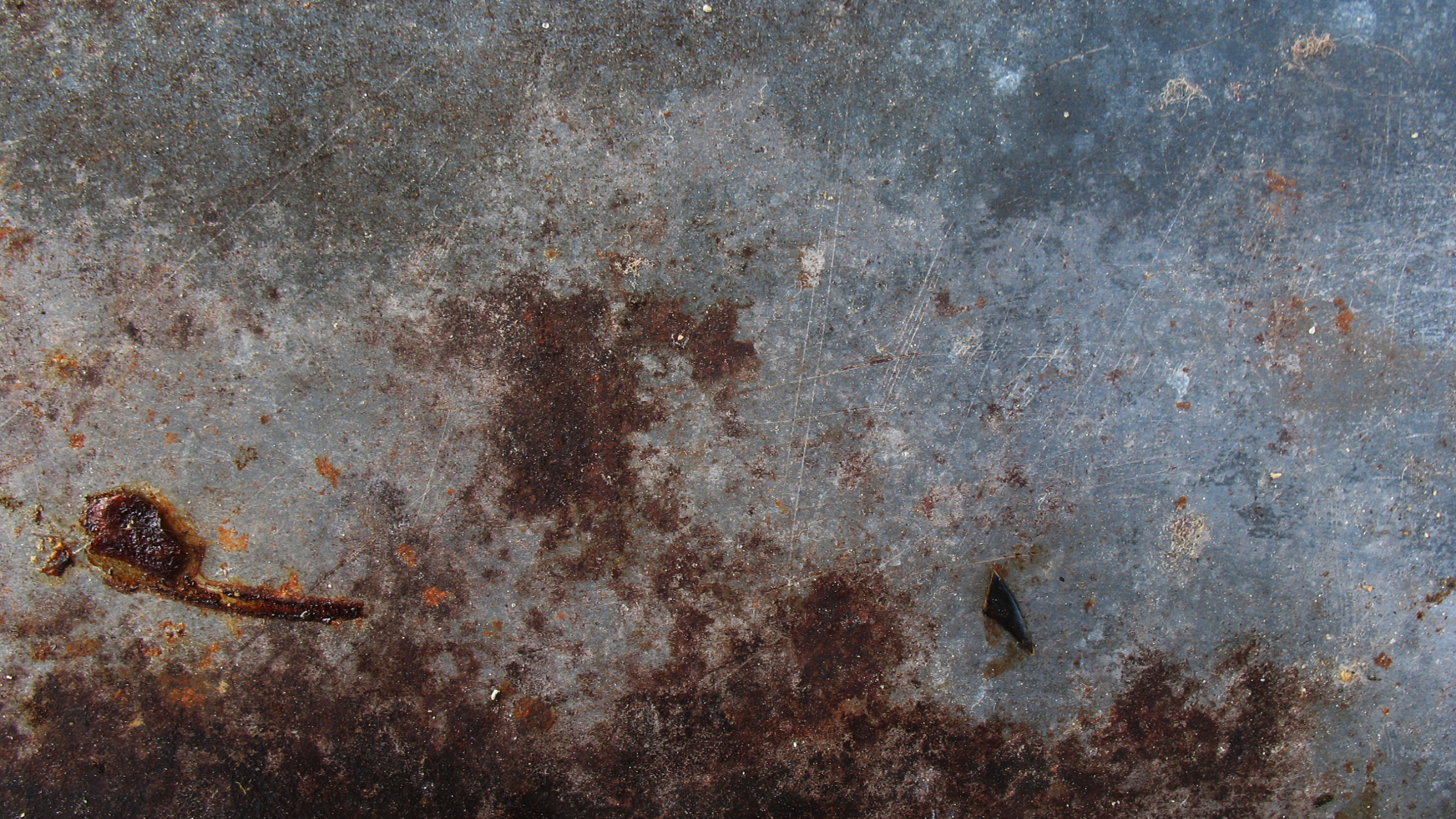 Brown Insect on Black Textile. Wallpaper in 2560x1440 Resolution