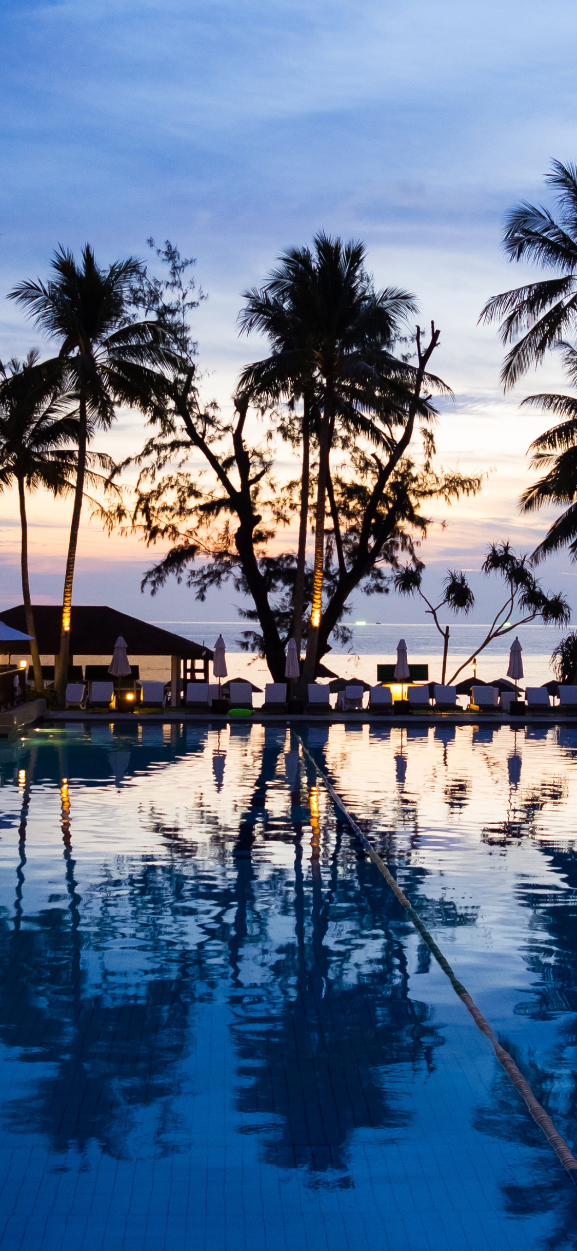 Palm Trees Near Swimming Pool During Night Time. Wallpaper in 1125x2436 Resolution