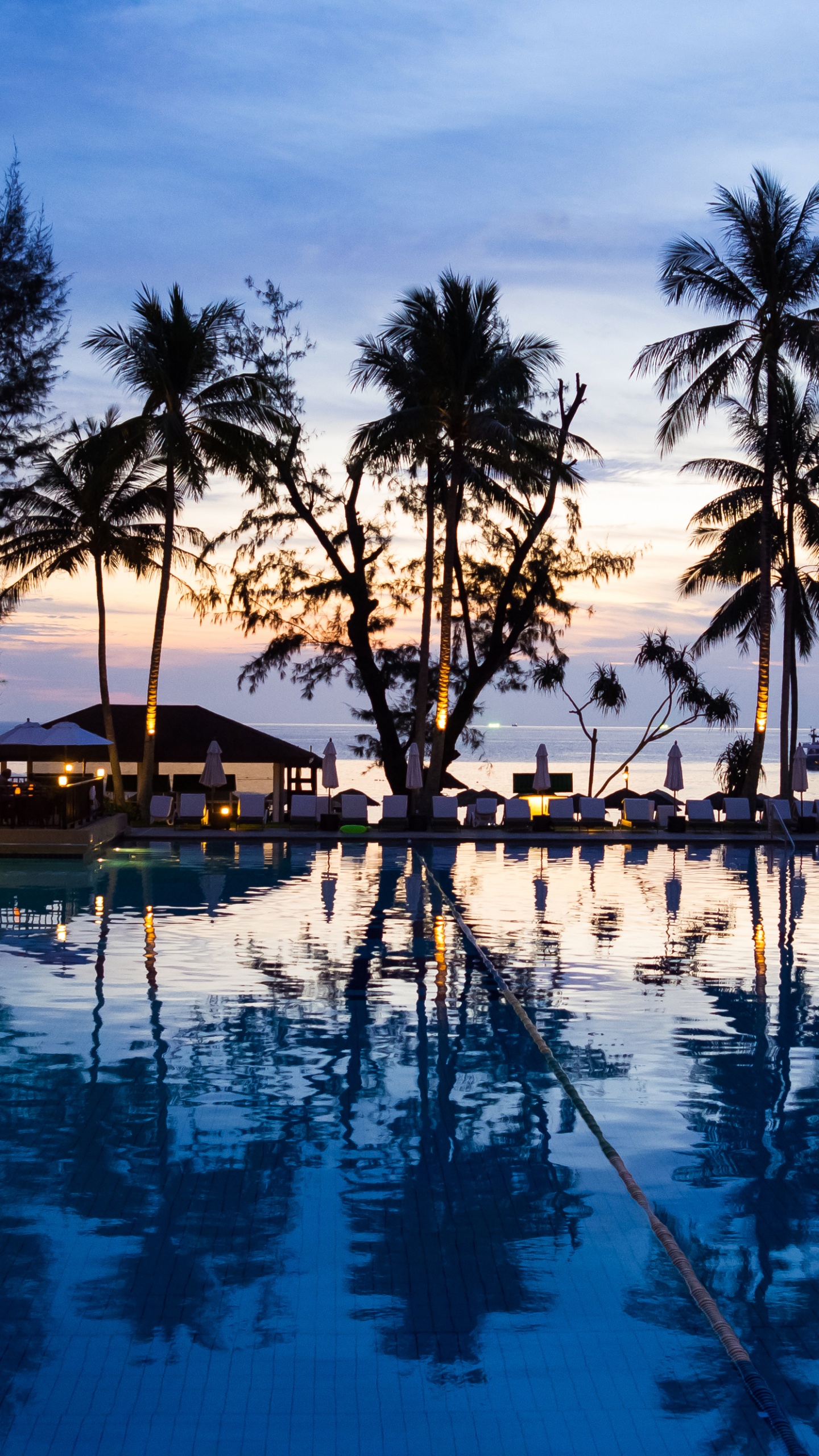 Palm Trees Near Swimming Pool During Night Time. Wallpaper in 1440x2560 Resolution