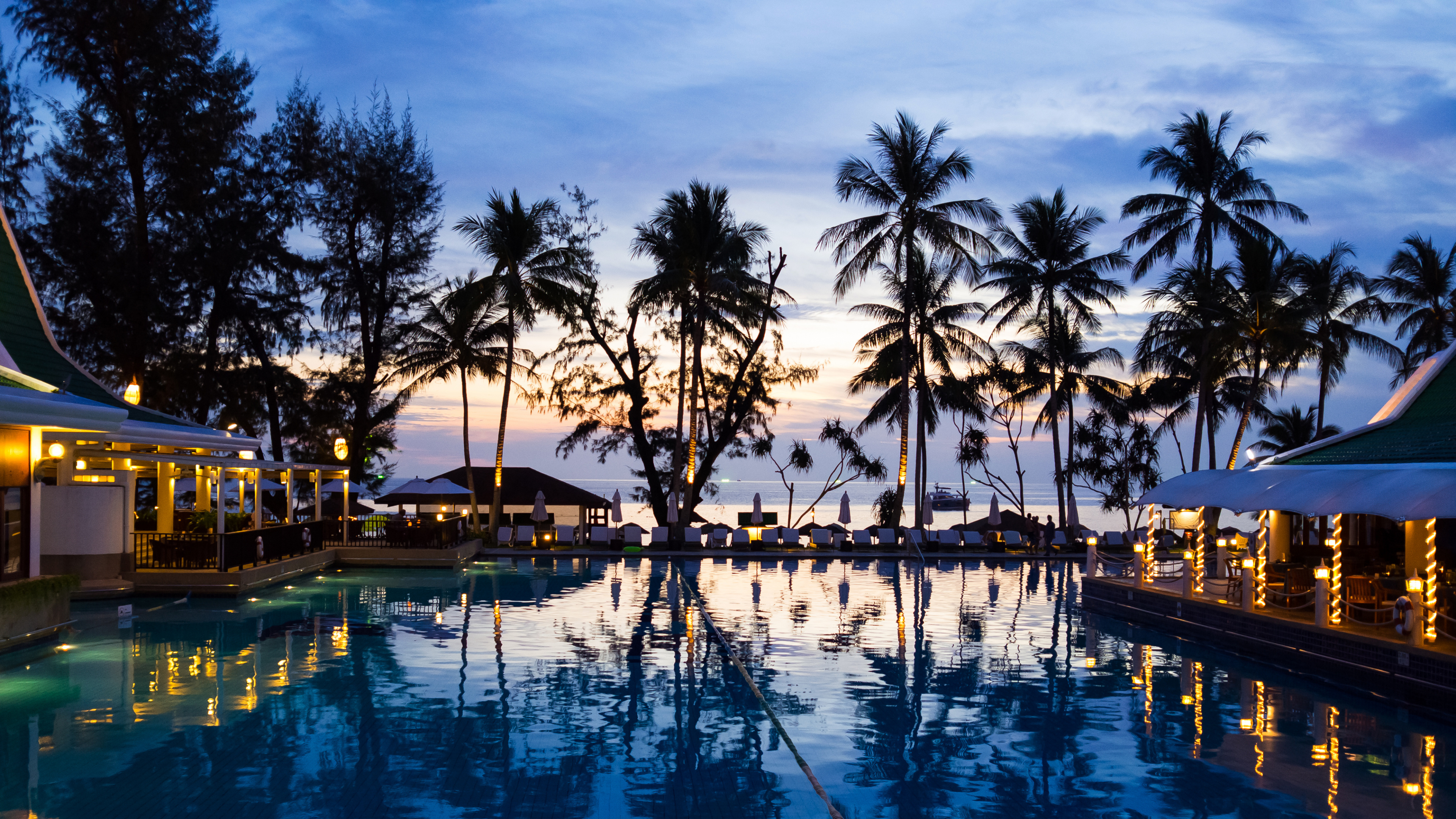 Palm Trees Near Swimming Pool During Night Time. Wallpaper in 3840x2160 Resolution