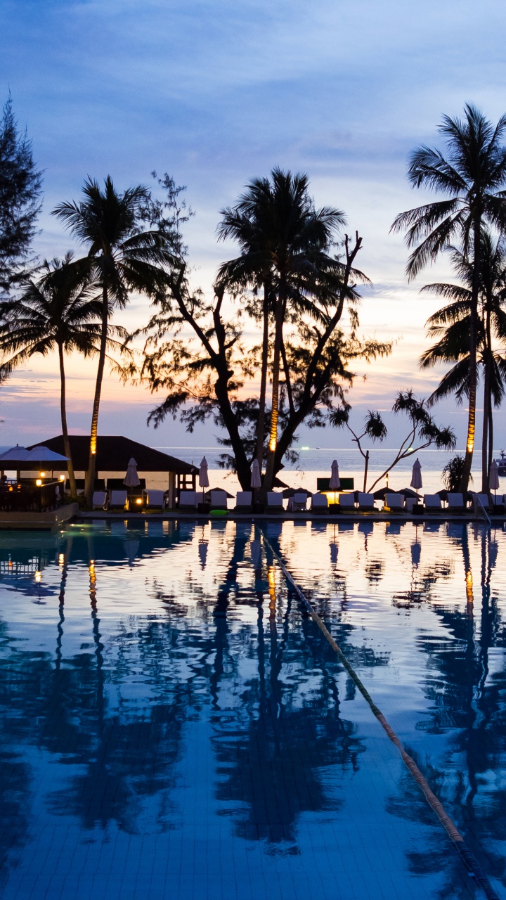 Palm Trees Near Swimming Pool During Night Time. Wallpaper in 720x1280 Resolution