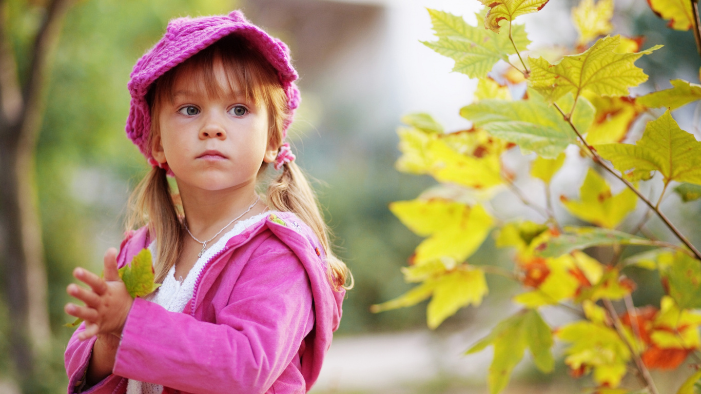 Kind, Herbst, Pink, Baum, Mädchen. Wallpaper in 1366x768 Resolution