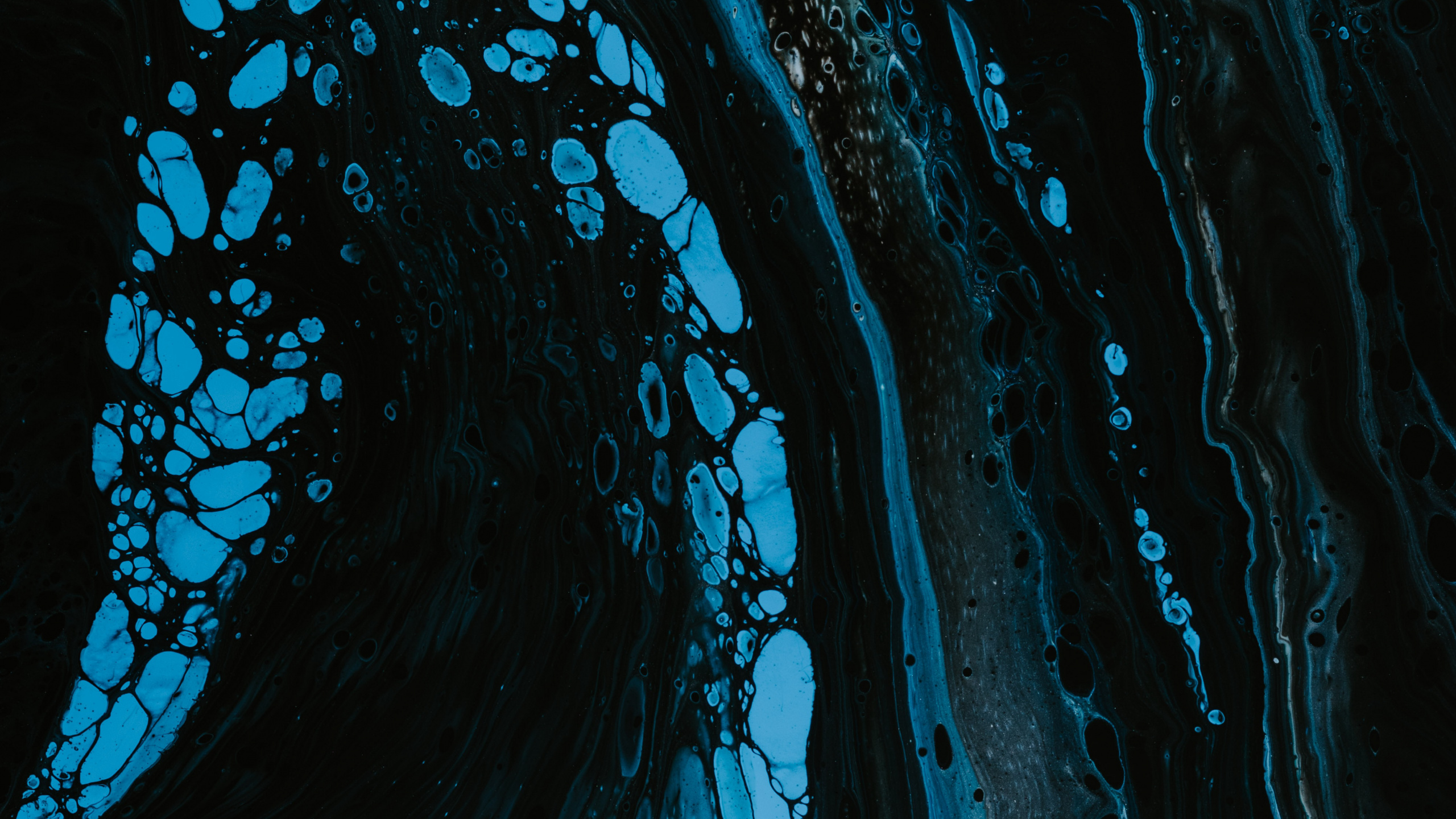 生物学, 风波, 海洋生物学, 水上, 液体 壁纸 2560x1440 允许