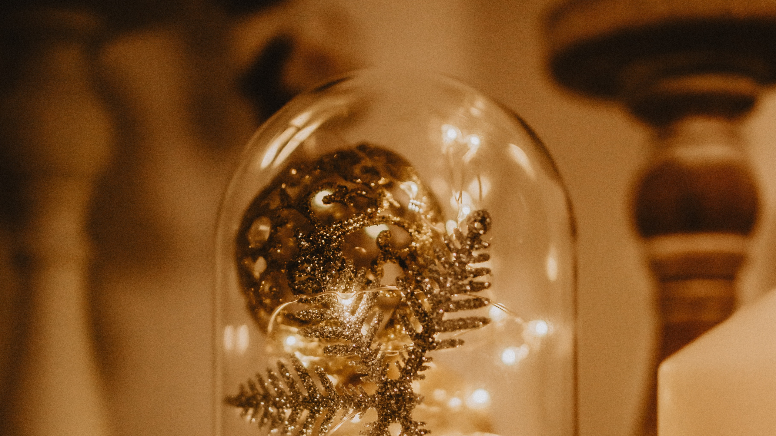 Clear Glass Ball on Brown Wooden Table. Wallpaper in 2560x1440 Resolution