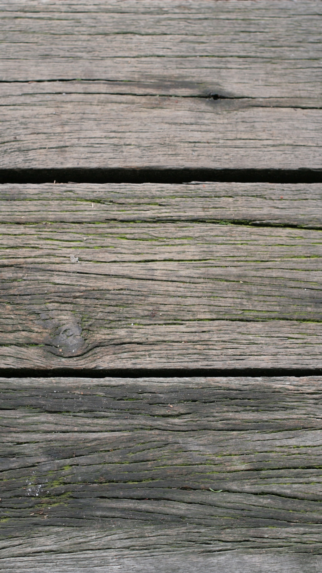 Tablón de Madera Marrón Con Musgo Verde. Wallpaper in 1080x1920 Resolution