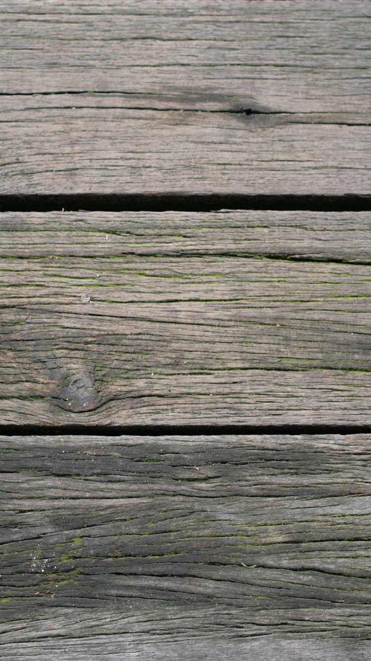 Planche de Bois Marron Avec Mousse Verte. Wallpaper in 750x1334 Resolution