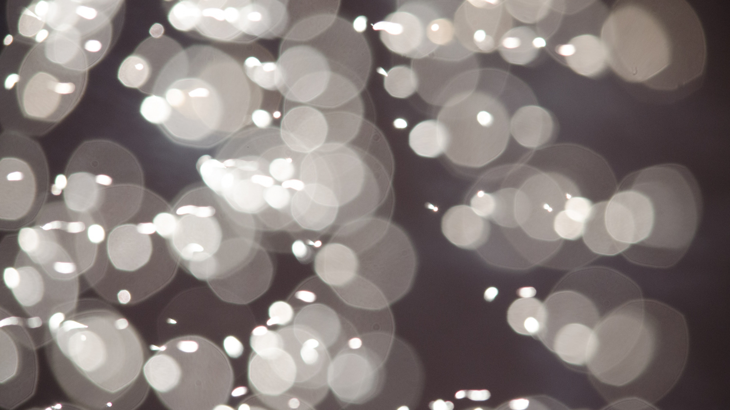 Weißes Und Blaues Licht-Bokeh. Wallpaper in 2560x1440 Resolution