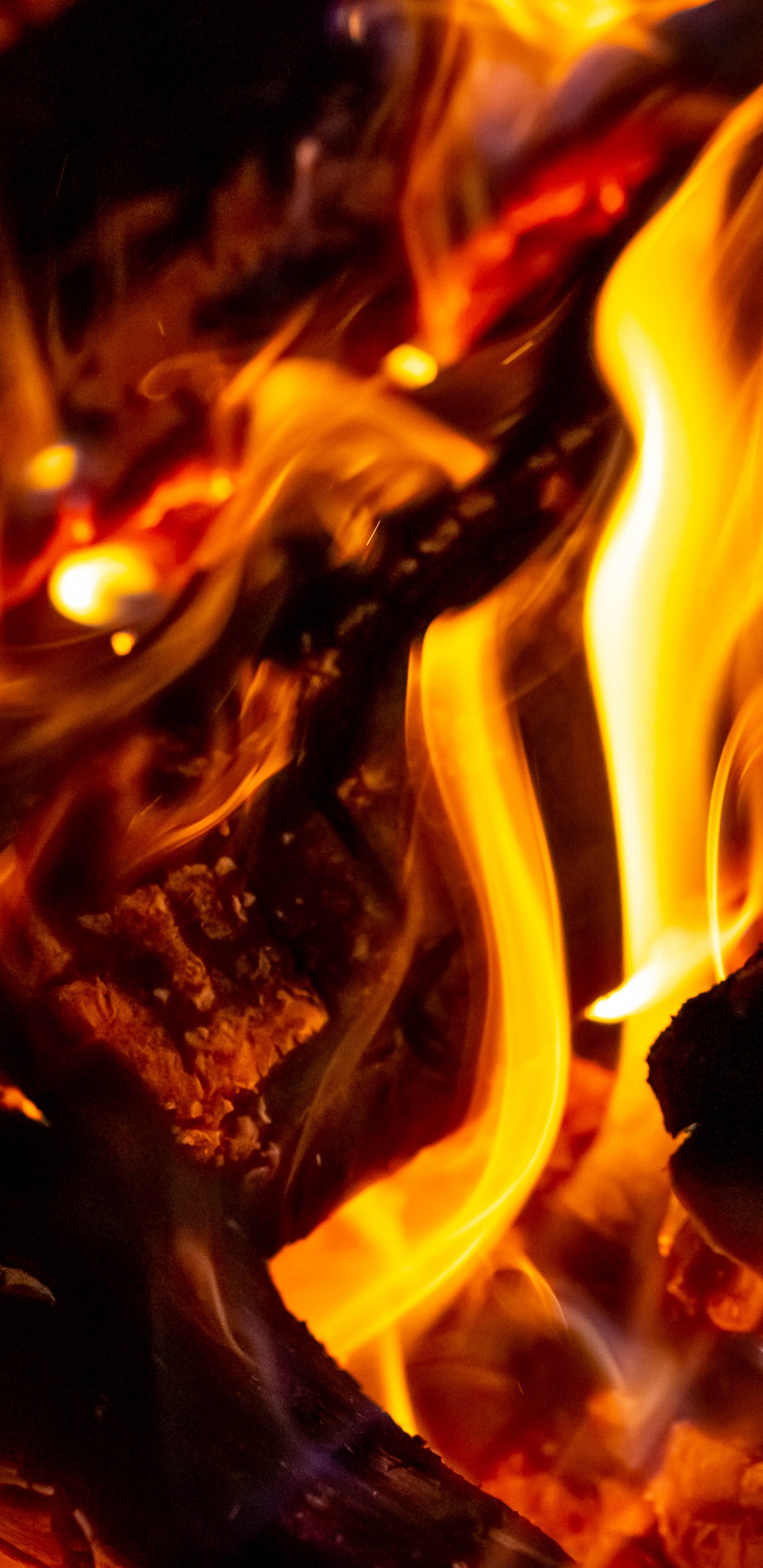 Orange and Black Fire in Close up Photography. Wallpaper in 1440x2960 Resolution