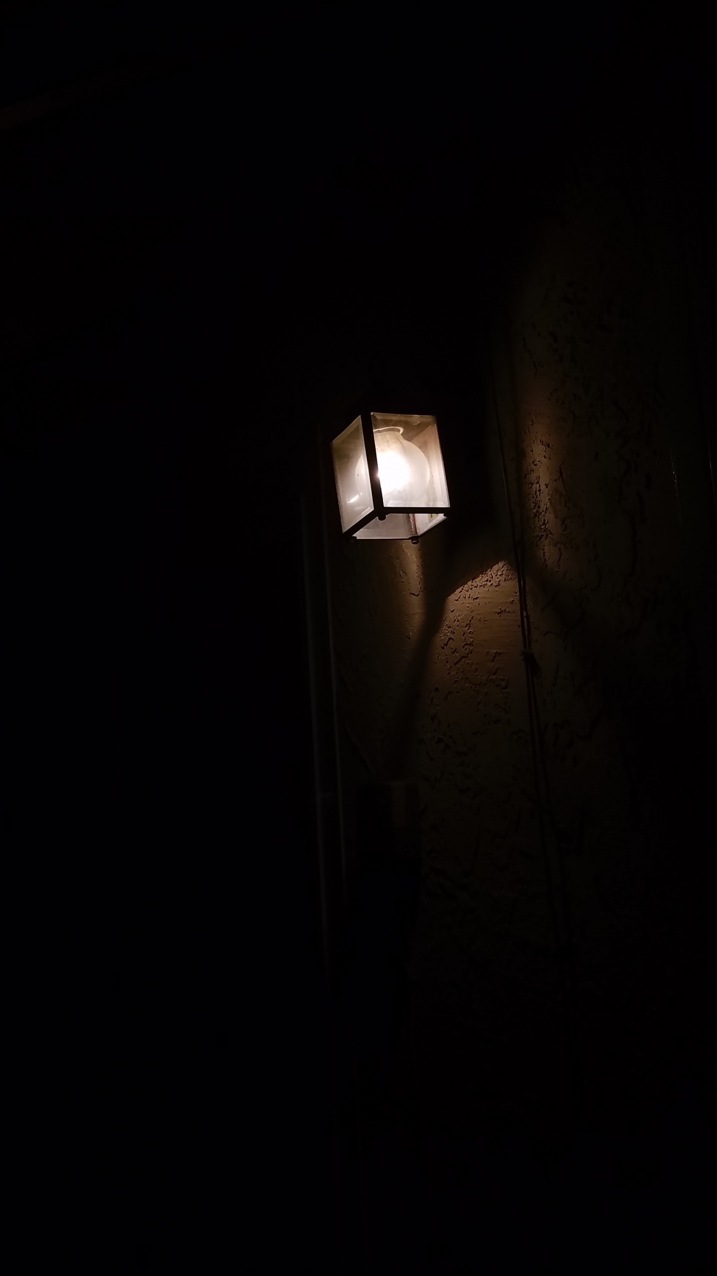 White Light Bulb Turned on in Dark Room. Wallpaper in 1440x2560 Resolution
